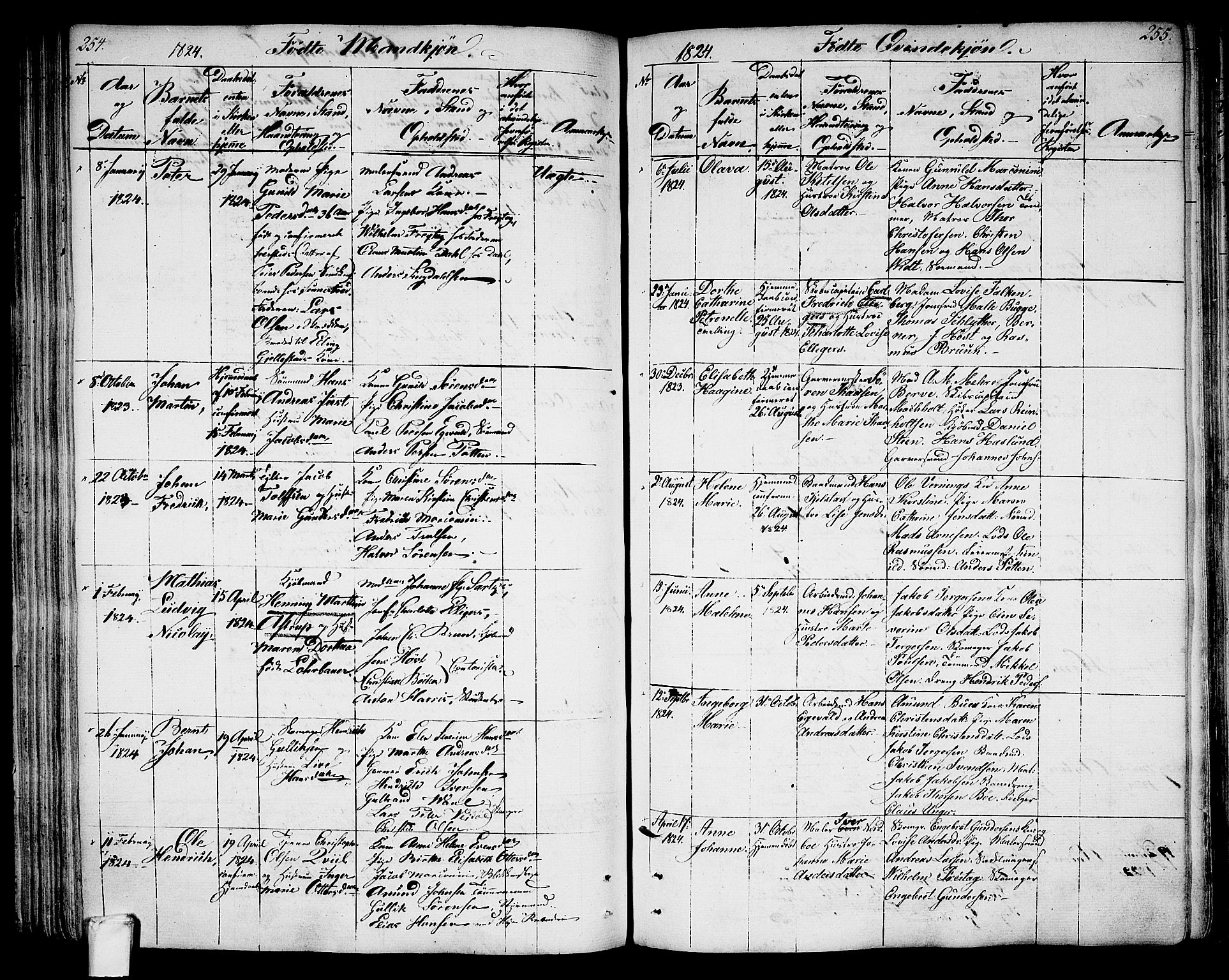 Larvik kirkebøker, SAKO/A-352/G/Ga/L0002: Parish register (copy) no. I 2, 1807-1830, p. 254-255