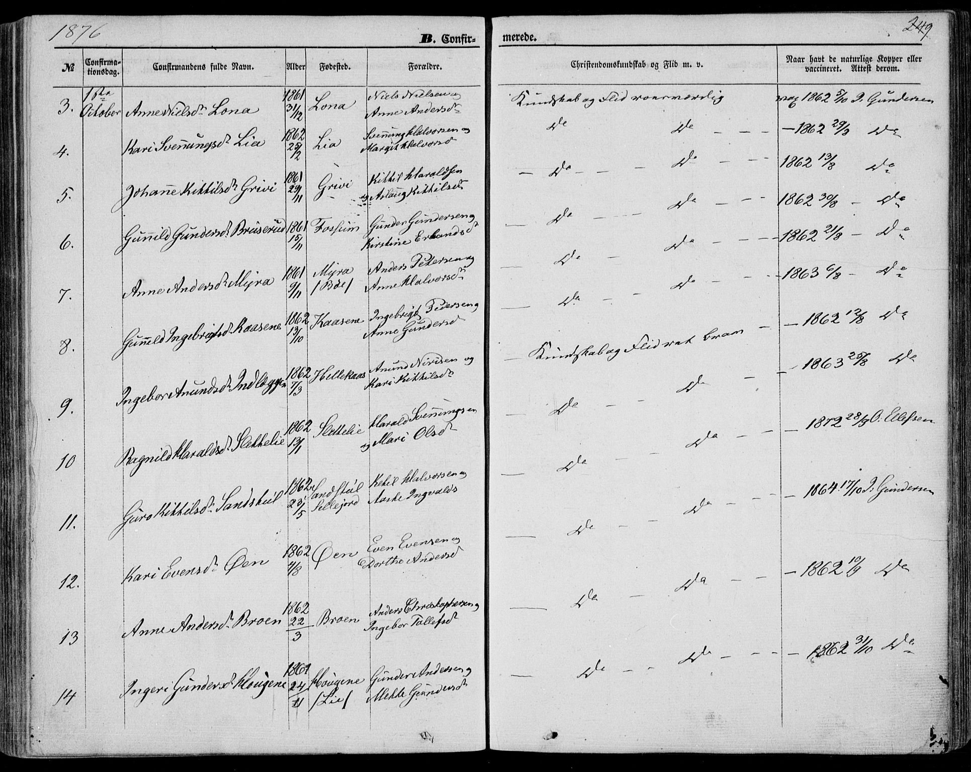 Bø kirkebøker, SAKO/A-257/F/Fa/L0009: Parish register (official) no. 9, 1862-1879, p. 249