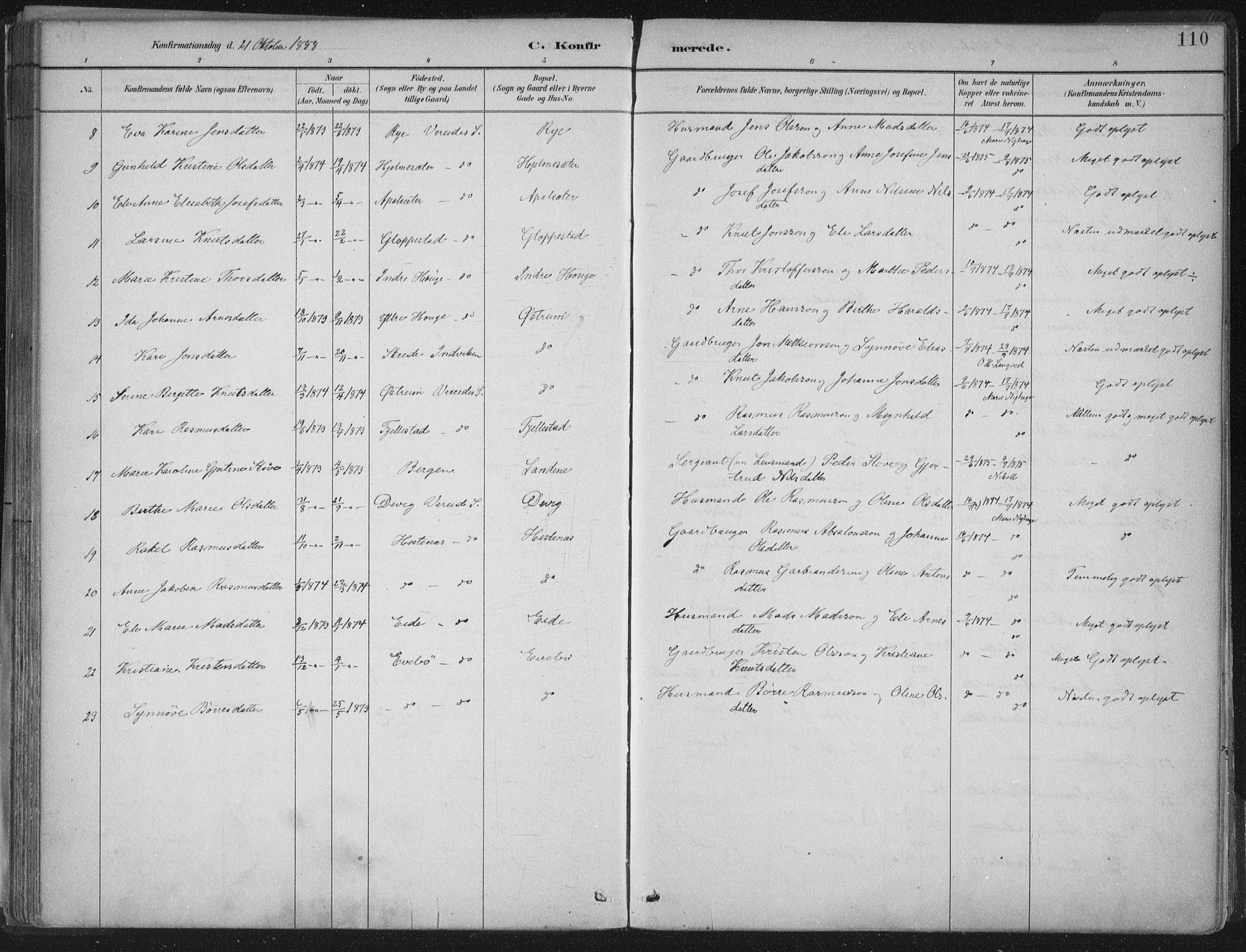 Gloppen sokneprestembete, AV/SAB-A-80101/H/Haa/Haab/L0001: Parish register (official) no. B  1, 1885-1905, p. 110