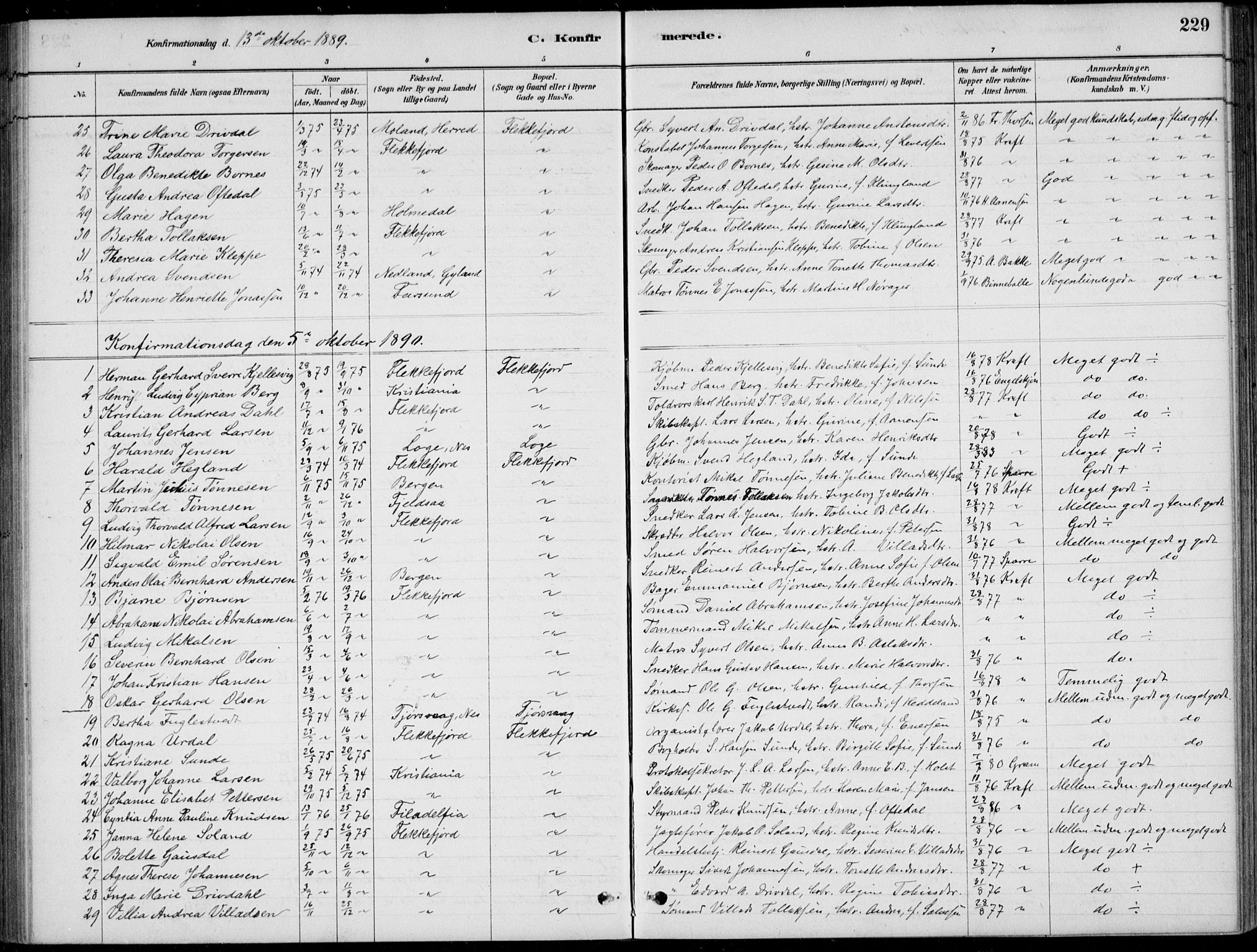 Flekkefjord sokneprestkontor, AV/SAK-1111-0012/F/Fb/Fbc/L0007: Parish register (copy) no. B 7, 1880-1902, p. 229