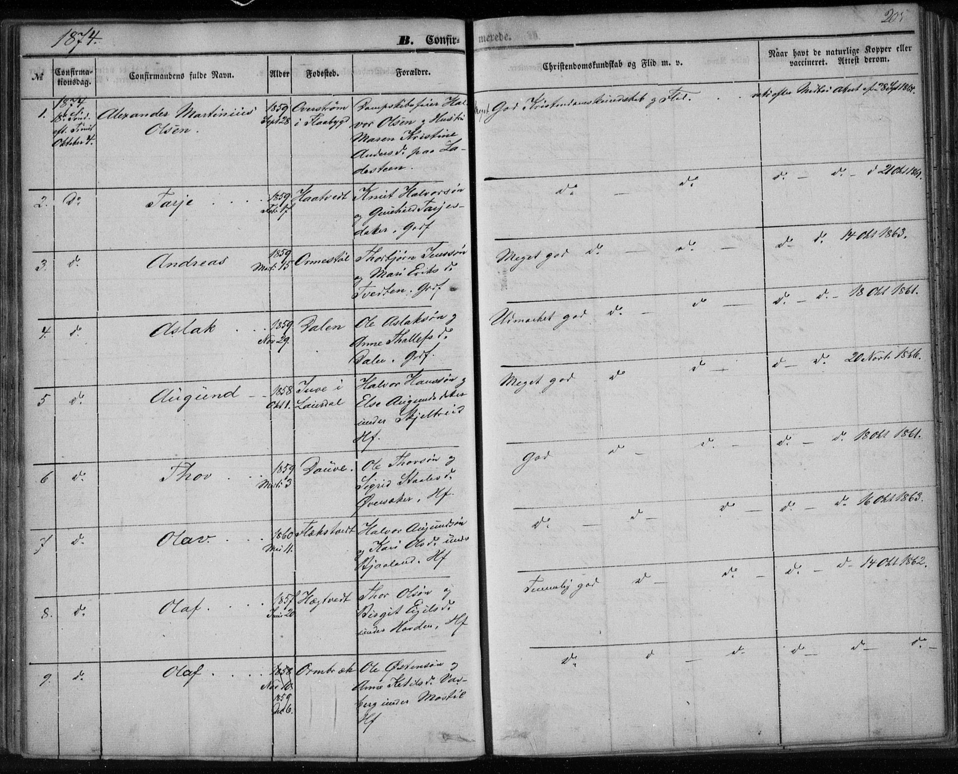 Lårdal kirkebøker, SAKO/A-284/F/Fa/L0006: Parish register (official) no. I 6, 1861-1886, p. 205