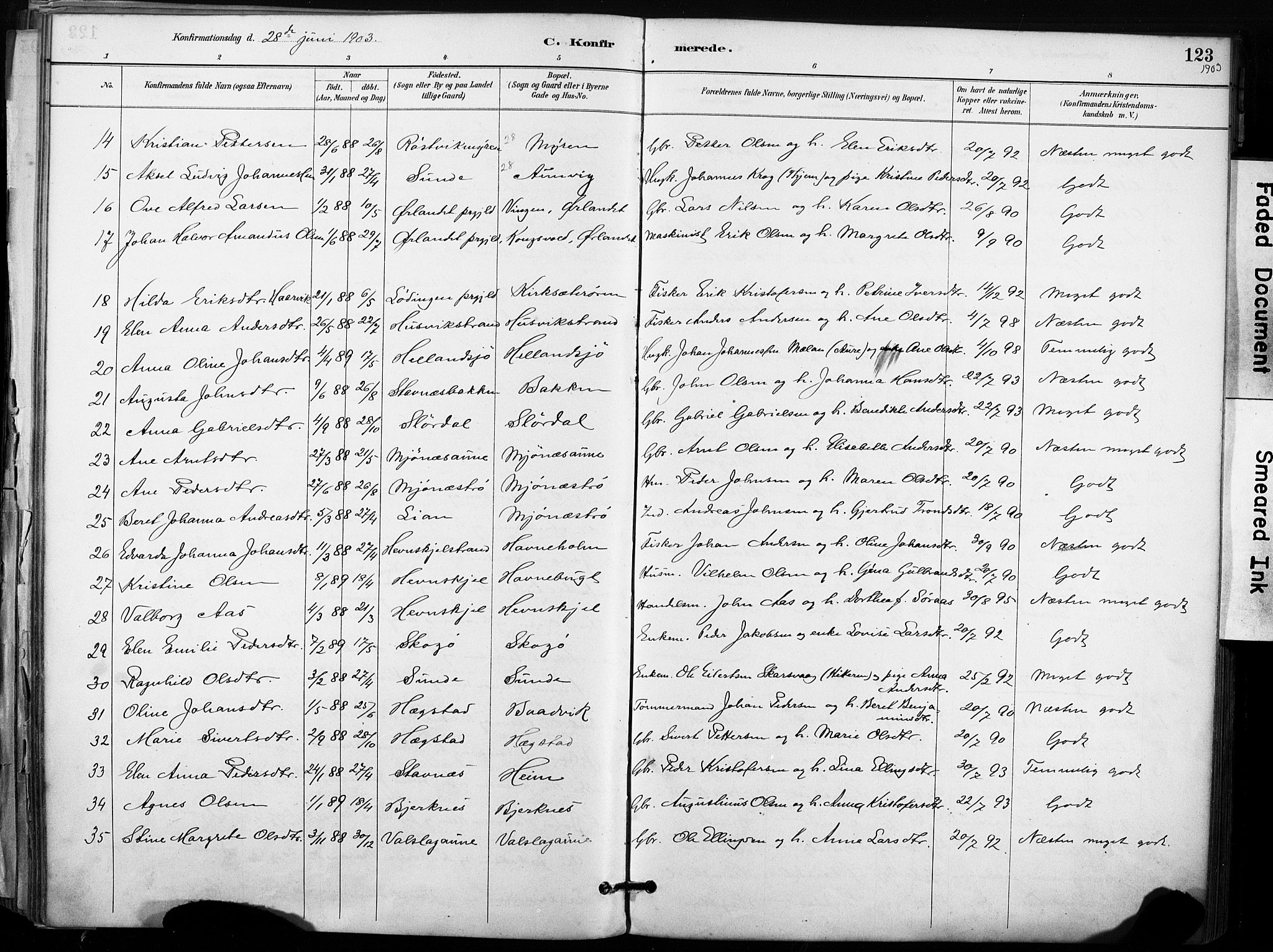 Ministerialprotokoller, klokkerbøker og fødselsregistre - Sør-Trøndelag, AV/SAT-A-1456/633/L0518: Parish register (official) no. 633A01, 1884-1906, p. 123