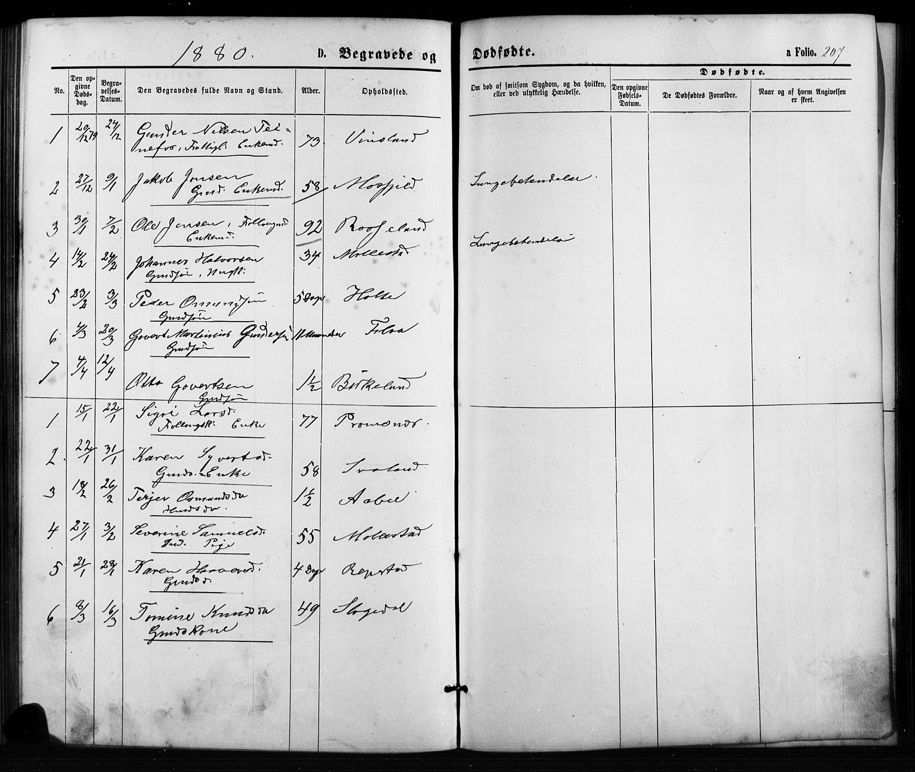 Birkenes sokneprestkontor, AV/SAK-1111-0004/F/Fb/L0003: Parish register (copy) no. B 3, 1876-1892, p. 207