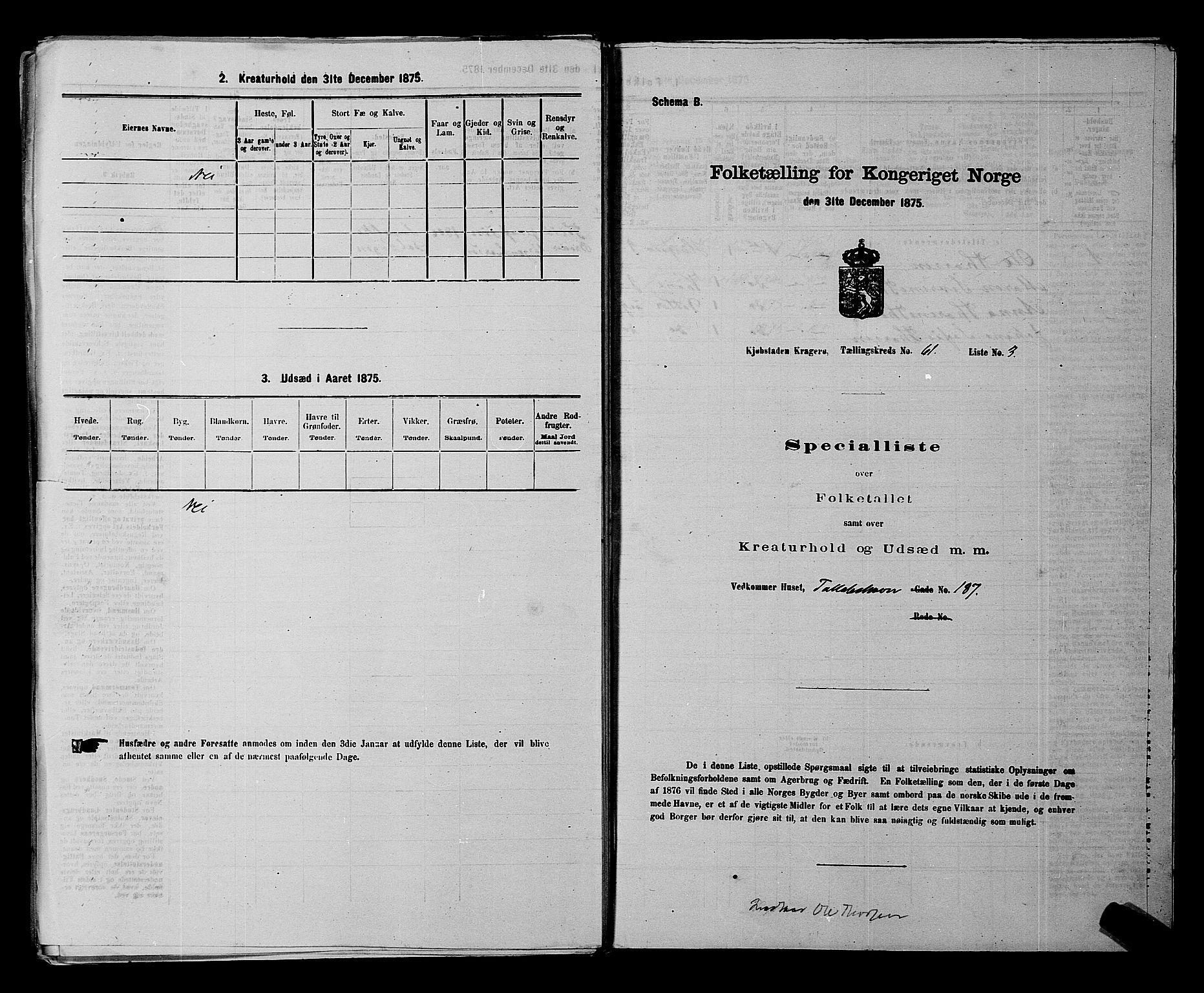 SAKO, 1875 census for 0801P Kragerø, 1875, p. 1395