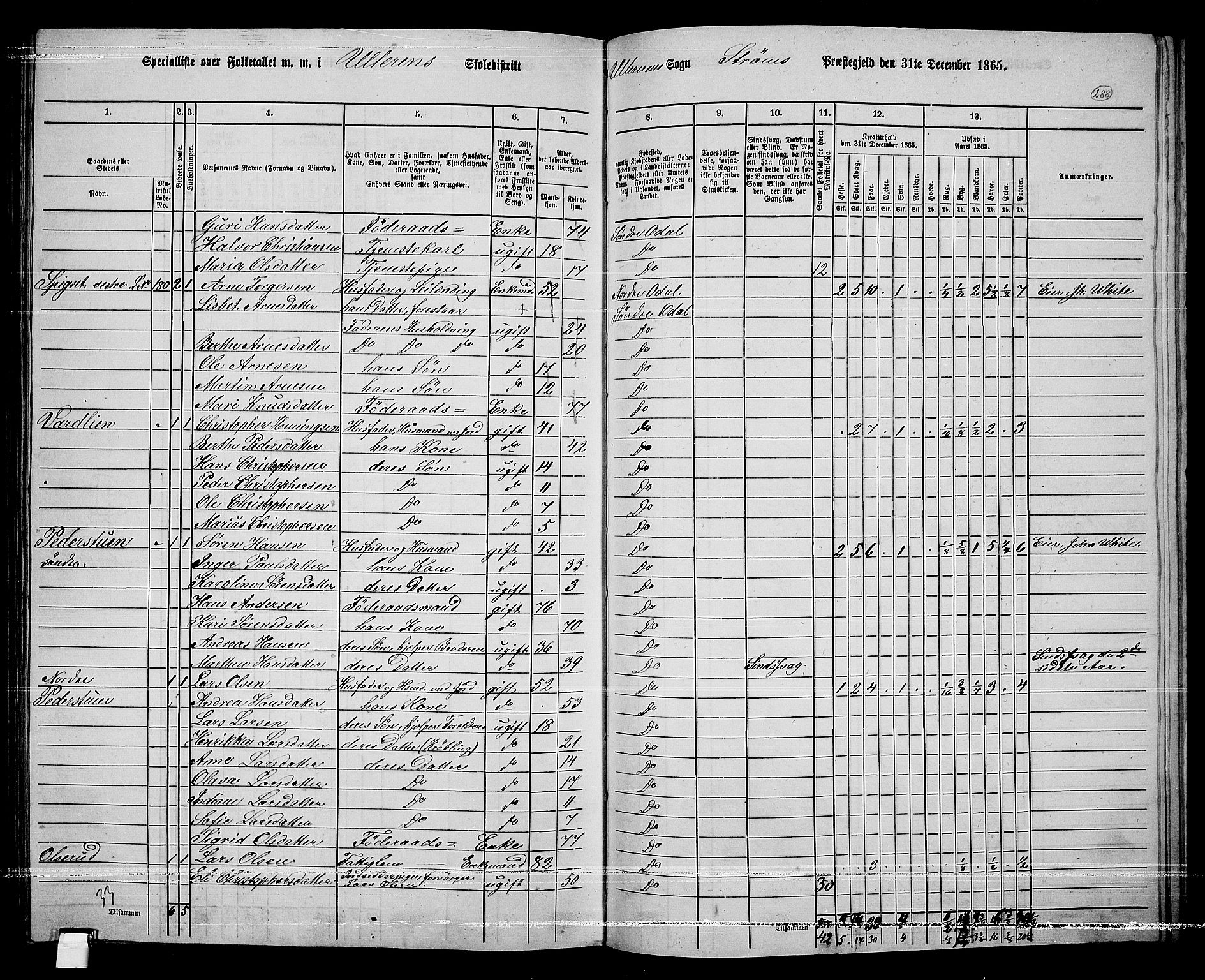 RA, 1865 census for Sør-Odal, 1865, p. 252