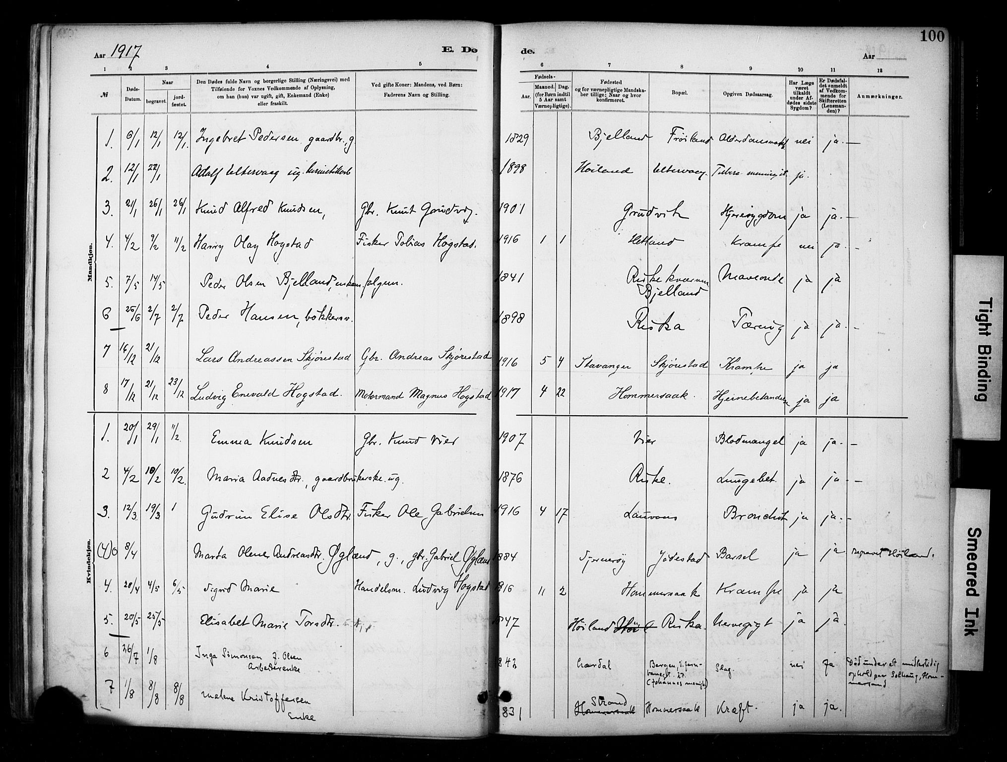 Hetland sokneprestkontor, SAST/A-101826/30/30BA/L0010: Parish register (official) no. A 10, 1882-1925, p. 100