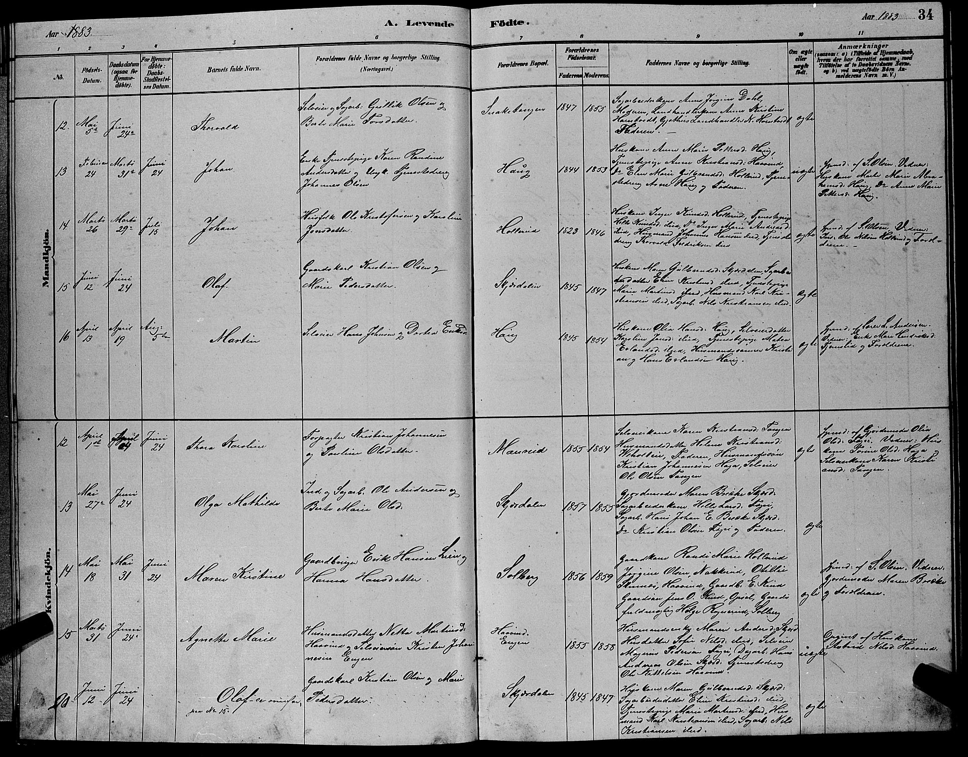 Hole kirkebøker, AV/SAKO-A-228/G/Gb/L0002: Parish register (copy) no. II 2, 1878-1889, p. 34