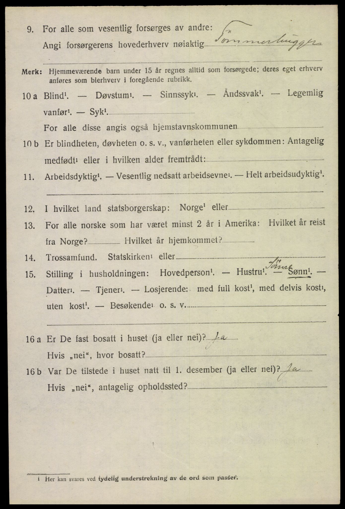 SAH, 1920 census for Åsnes, 1920, p. 9123