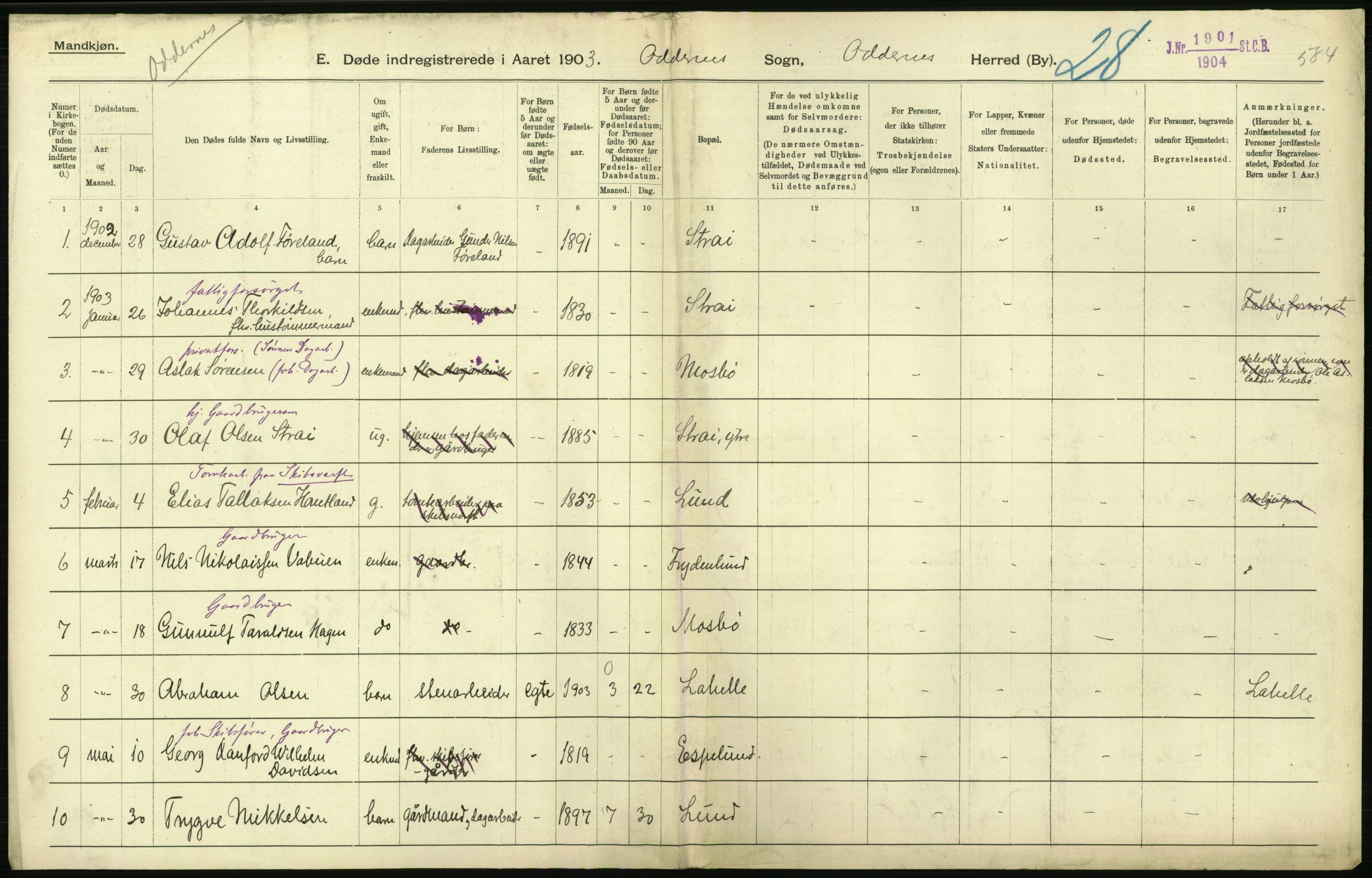 Statistisk sentralbyrå, Sosiodemografiske emner, Befolkning, AV/RA-S-2228/D/Df/Dfa/Dfaa/L0011: Lister og Mandal amt: Fødte, gifte, døde, 1903, p. 502