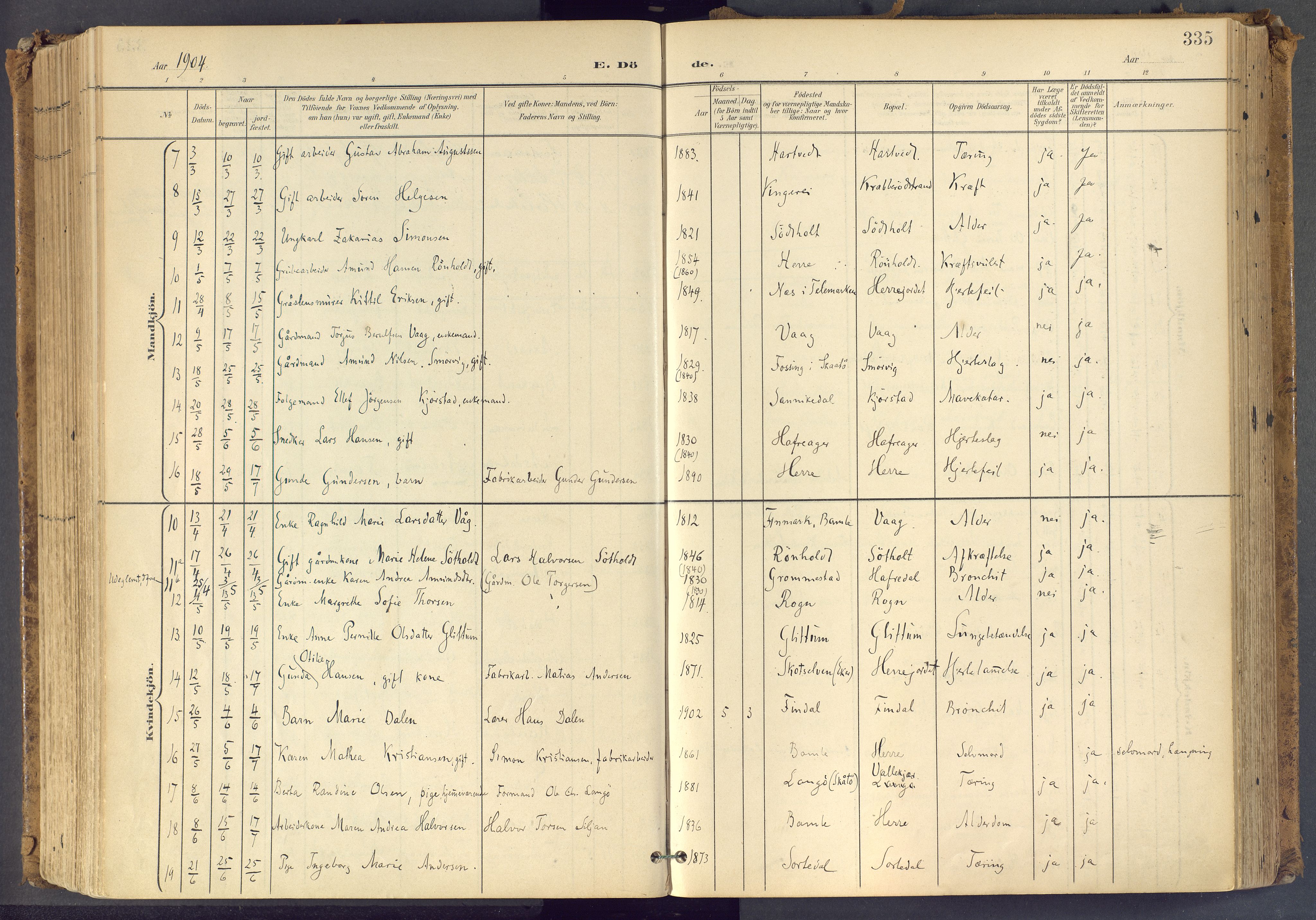 Bamble kirkebøker, SAKO/A-253/F/Fa/L0009: Parish register (official) no. I 9, 1901-1917, p. 335