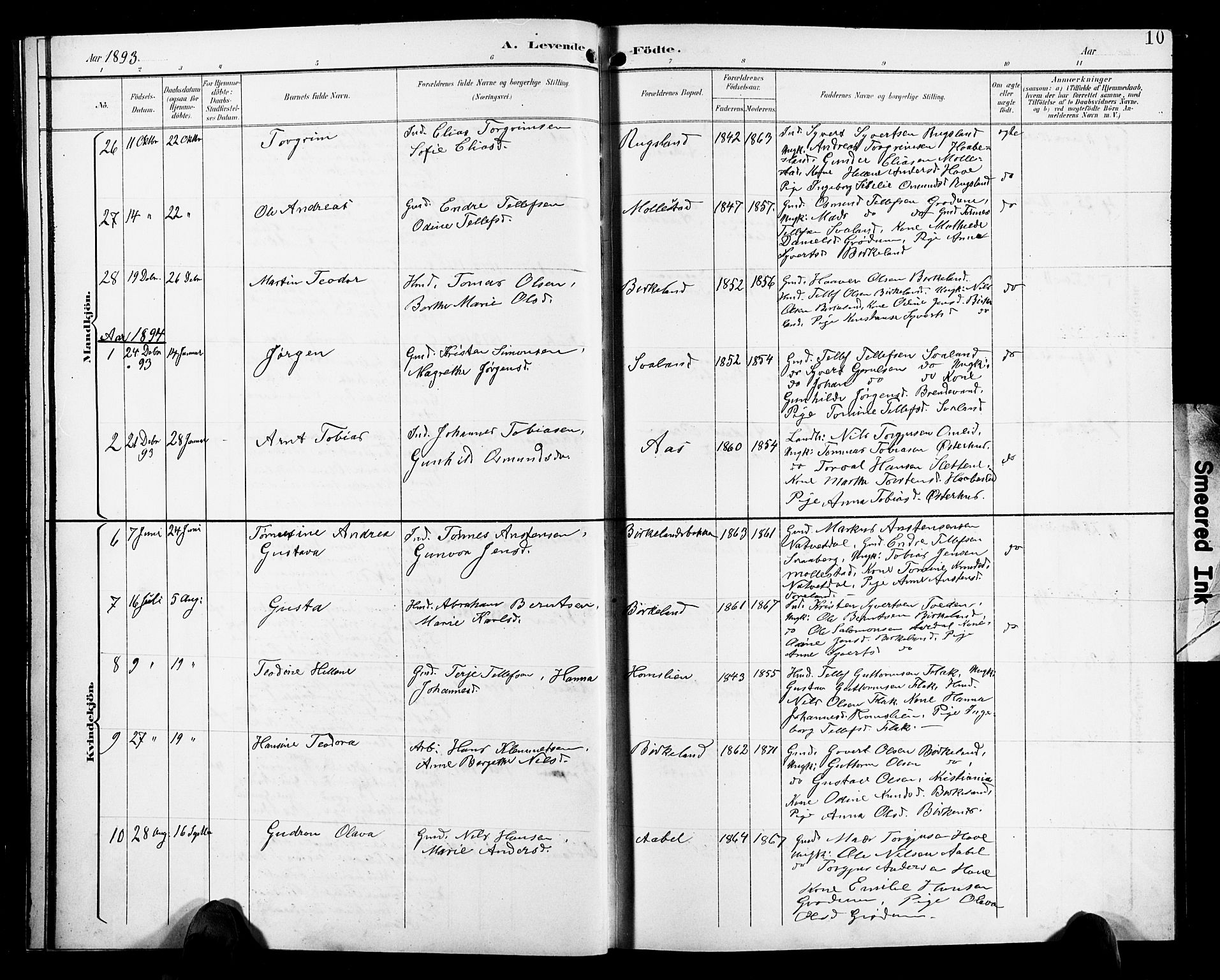 Birkenes sokneprestkontor, AV/SAK-1111-0004/F/Fb/L0004: Parish register (copy) no. B 4, 1893-1930, p. 10