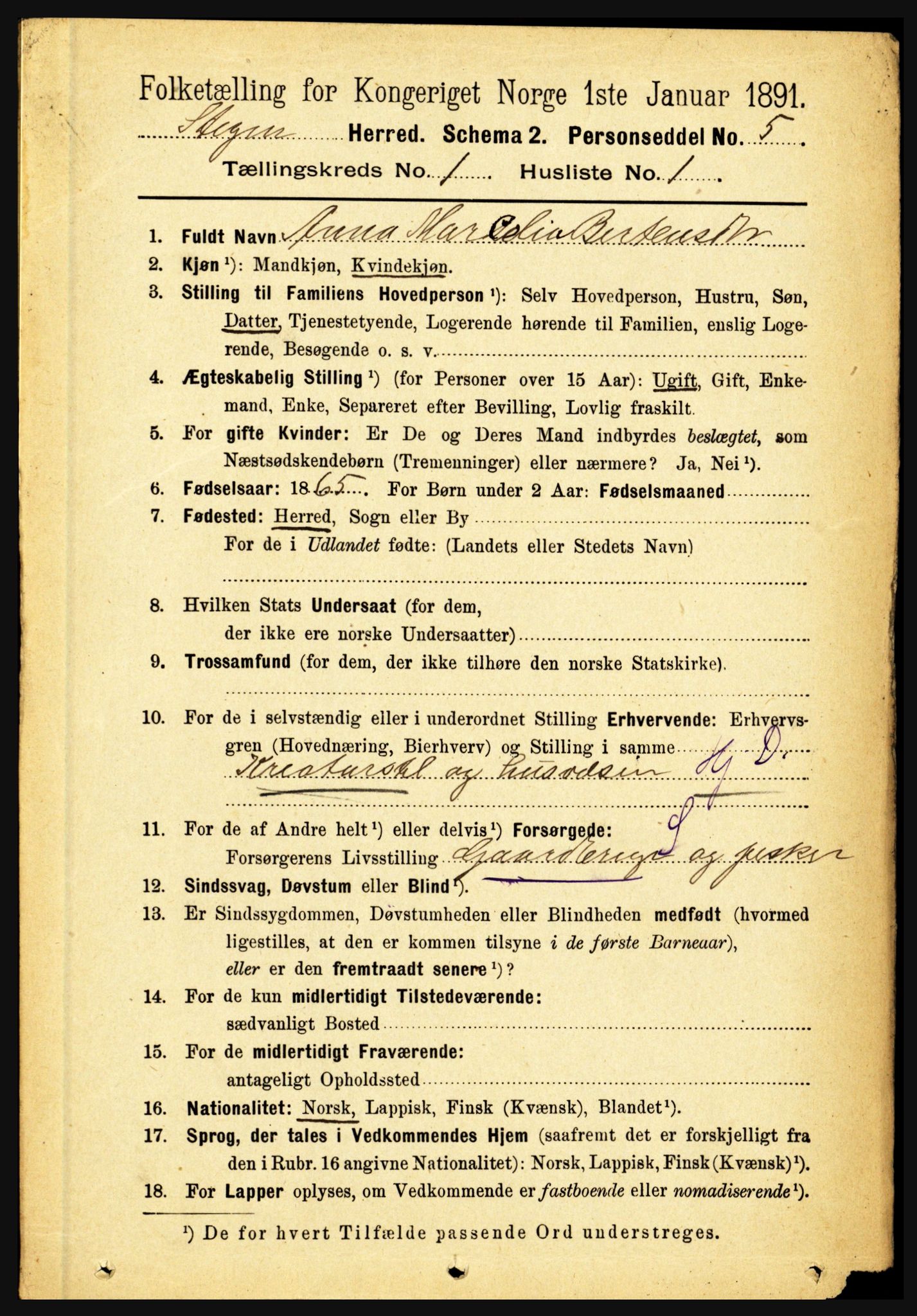 RA, 1891 census for 1848 Steigen, 1891, p. 120