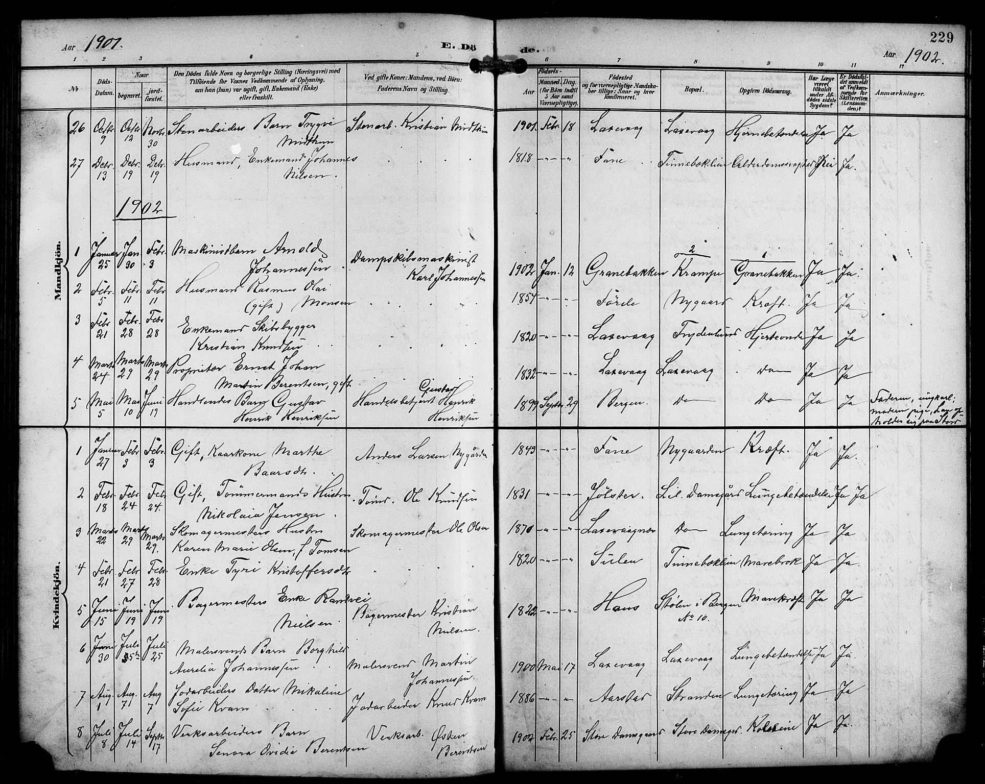 Laksevåg Sokneprestembete, SAB/A-76501/H/Ha/Hab/Haba/L0004: Parish register (copy) no. A 4, 1899-1909, p. 229