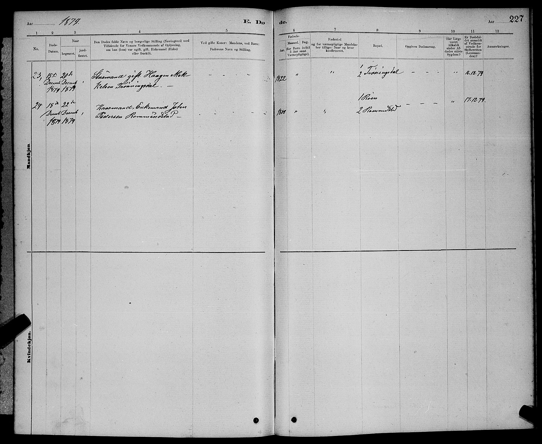 Ministerialprotokoller, klokkerbøker og fødselsregistre - Møre og Romsdal, AV/SAT-A-1454/598/L1077: Parish register (copy) no. 598C02, 1879-1891, p. 227