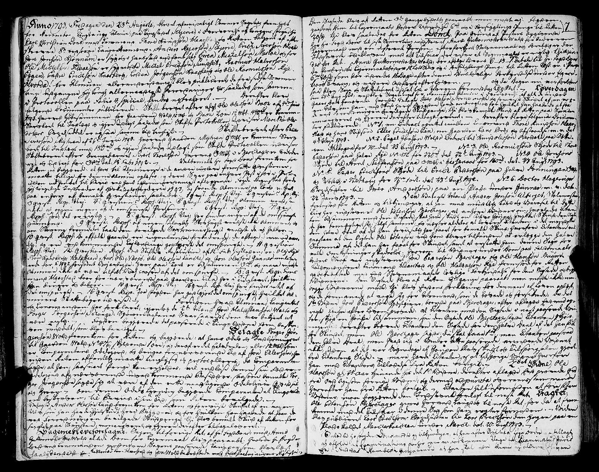 Orkdal sorenskriveri, AV/SAT-A-4169/1/1/1A/L0014: Tingbok 12, 1793-1806, p. 6b-7a