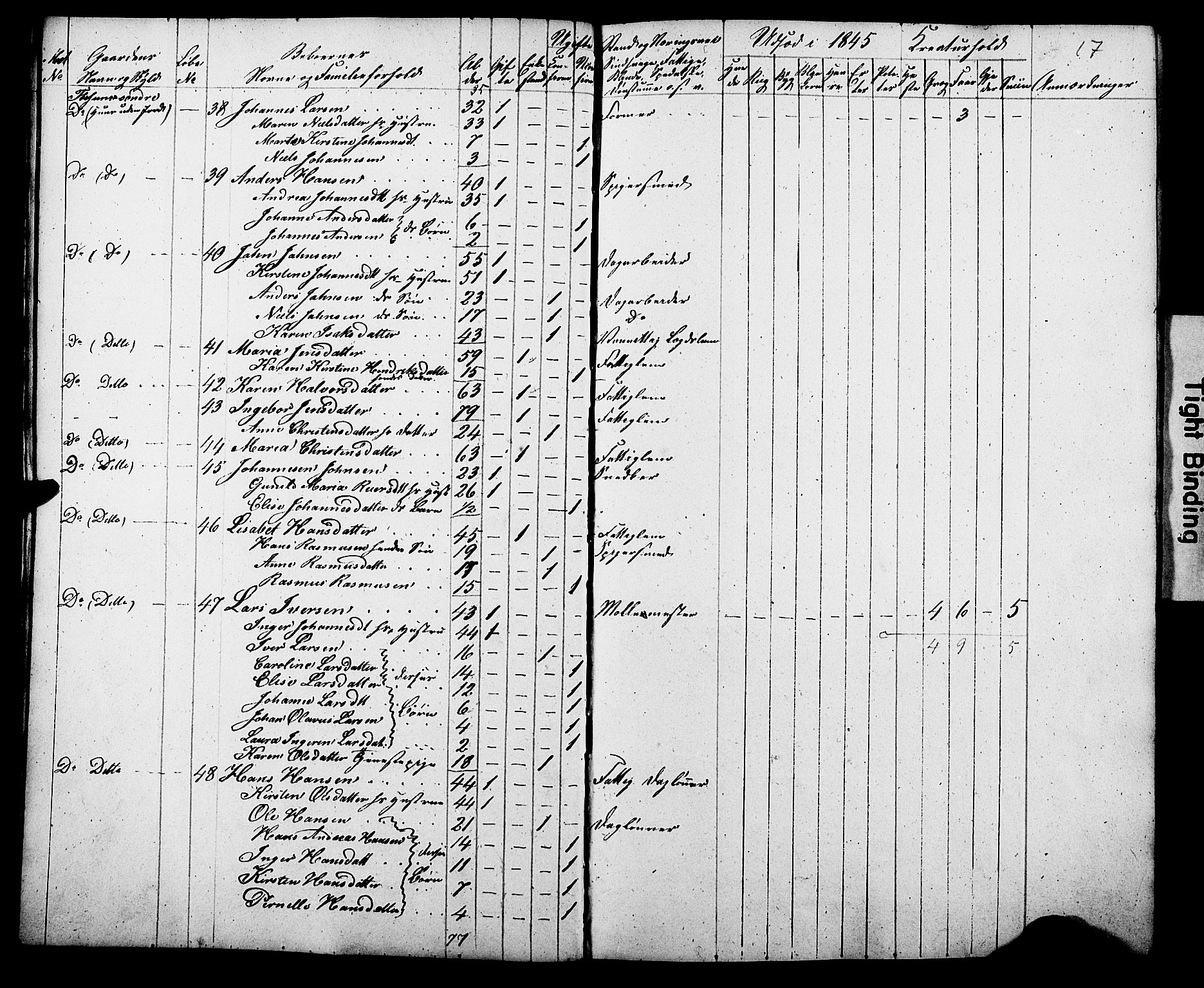 , Census 1845 for Gjerpen, 1845, p. 17