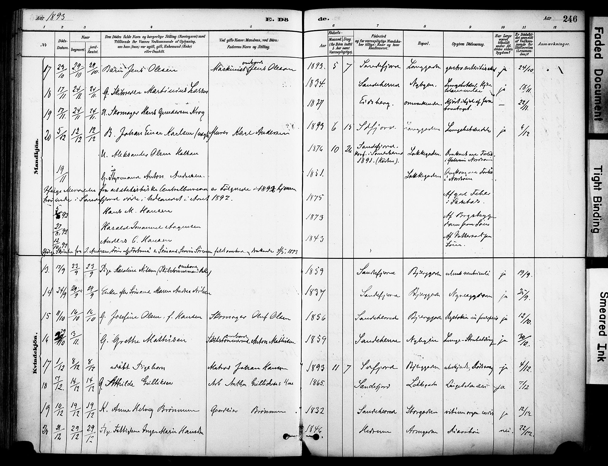 Sandefjord kirkebøker, AV/SAKO-A-315/F/Fa/L0002: Parish register (official) no. 2, 1880-1894, p. 246