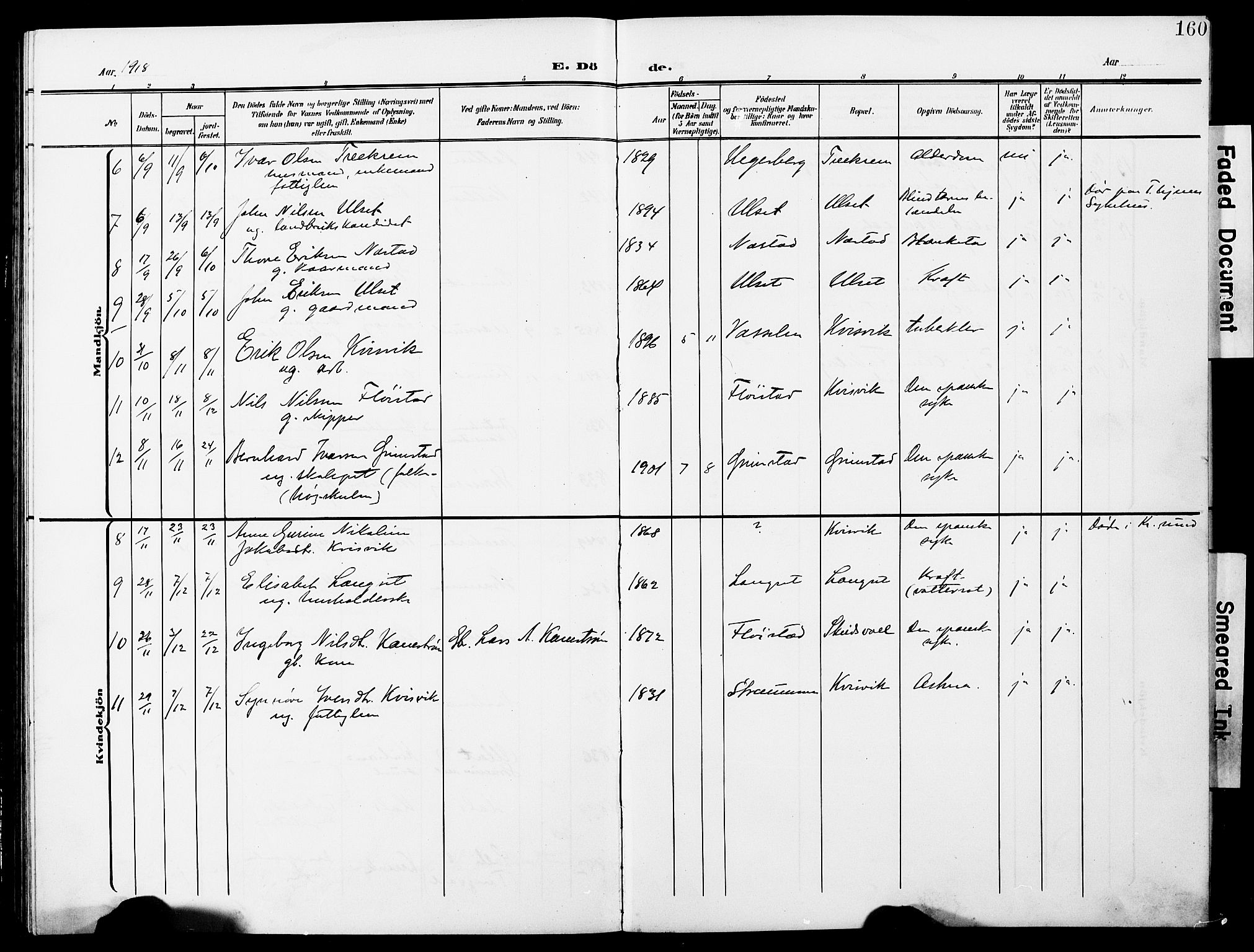 Ministerialprotokoller, klokkerbøker og fødselsregistre - Møre og Romsdal, AV/SAT-A-1454/587/L1001: Parish register (copy) no. 587C01, 1906-1927, p. 160