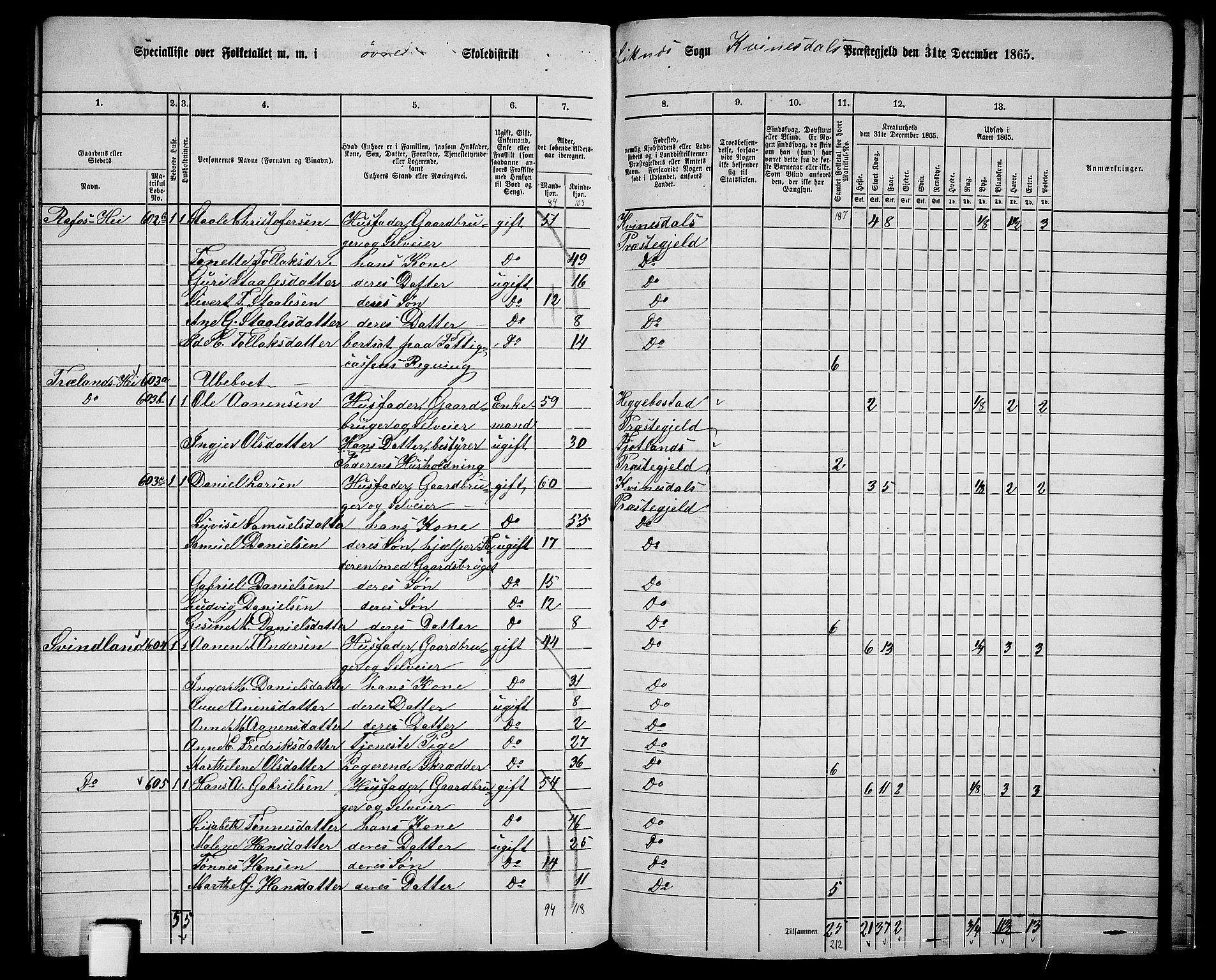 RA, 1865 census for Kvinesdal, 1865, p. 167
