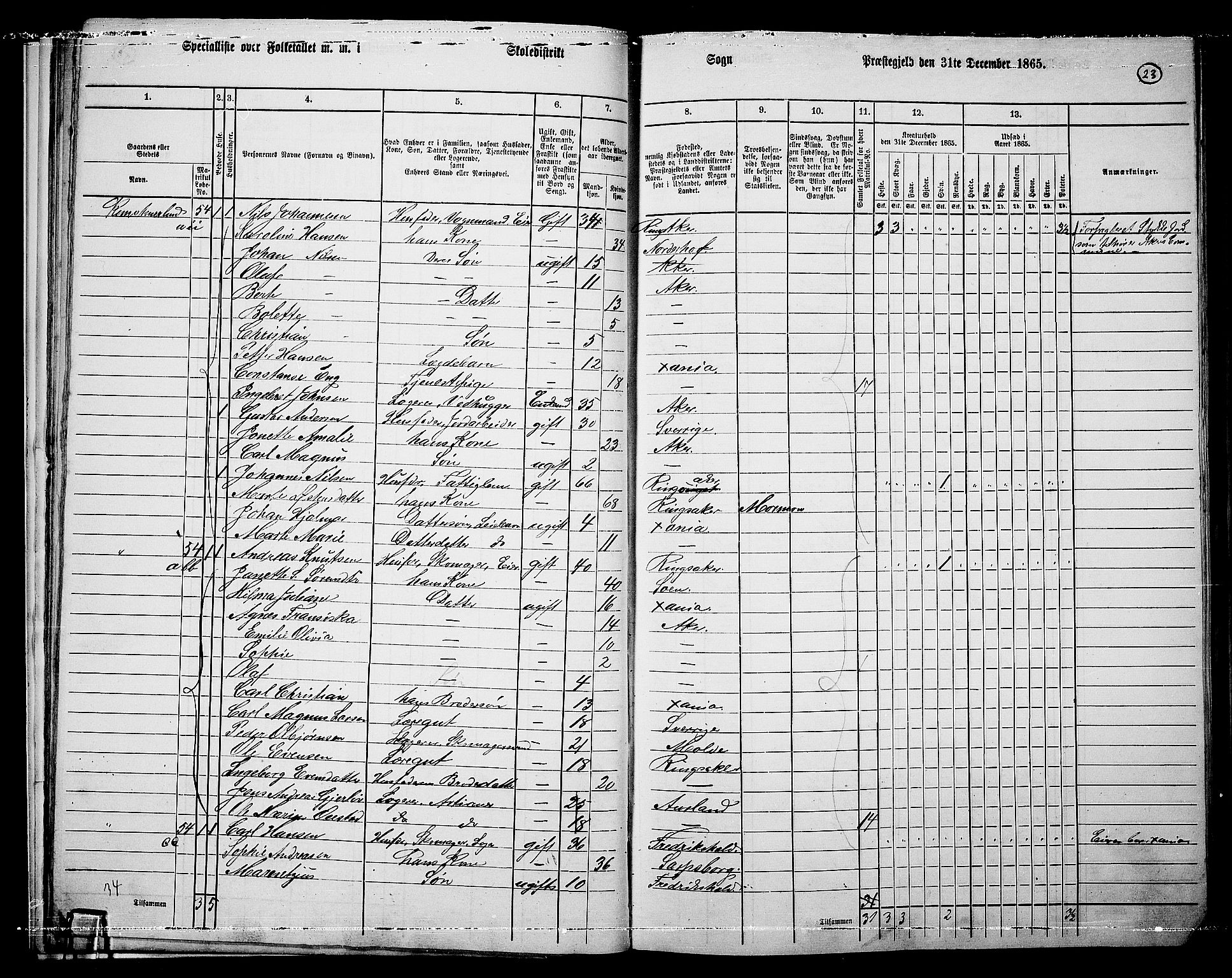 RA, 1865 census for Vestre Aker, 1865, p. 20