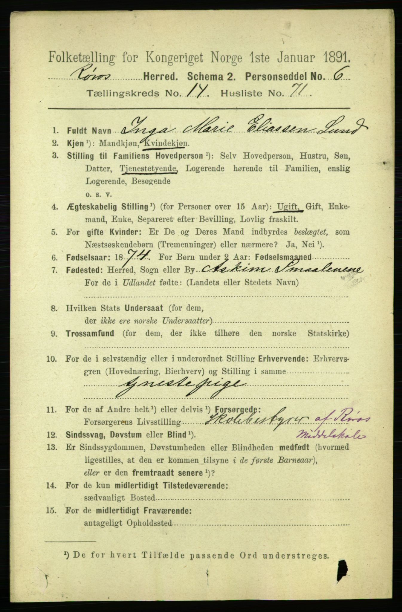 RA, 1891 census for 1640 Røros, 1891, p. 3250