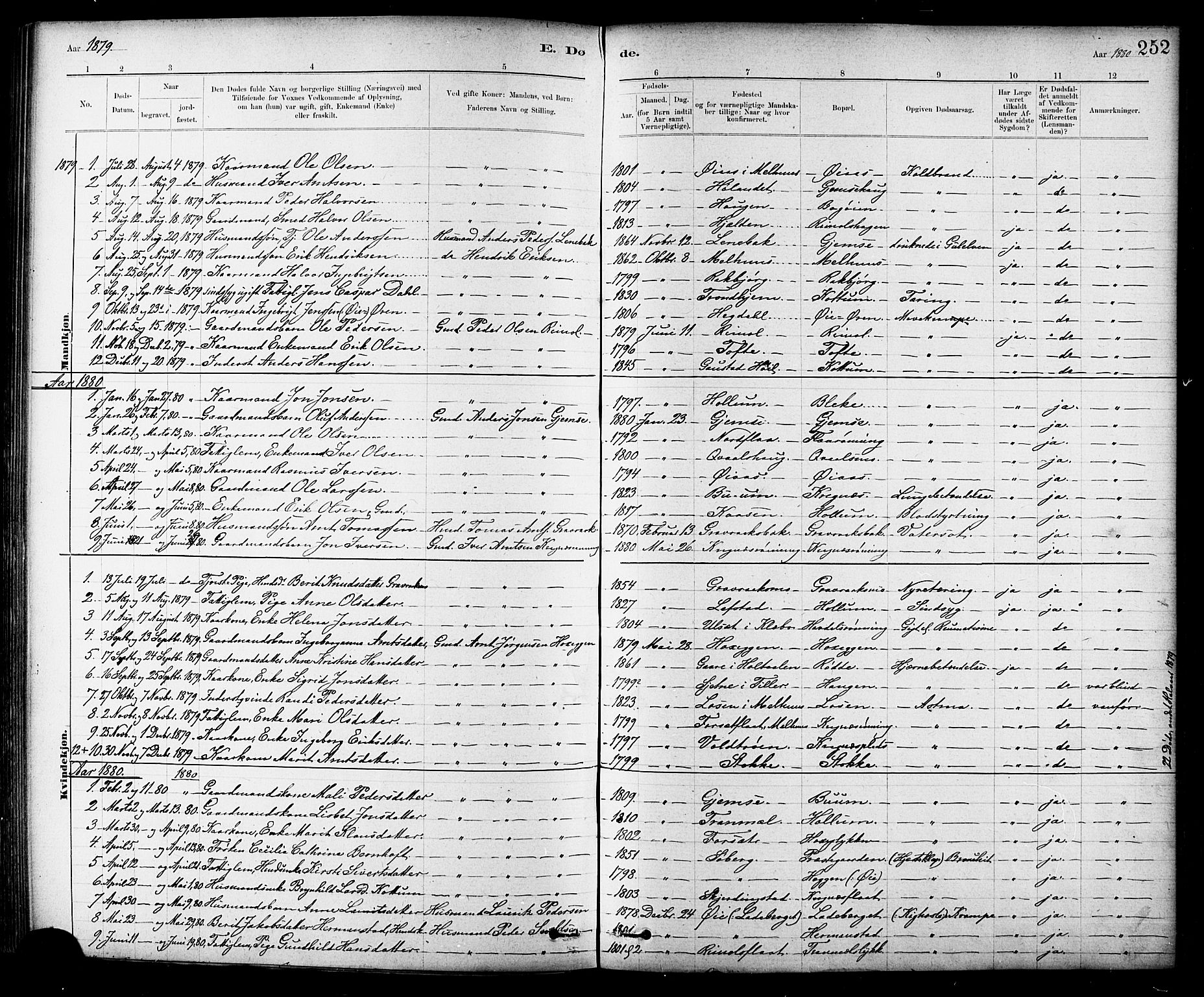 Ministerialprotokoller, klokkerbøker og fødselsregistre - Sør-Trøndelag, SAT/A-1456/691/L1094: Parish register (copy) no. 691C05, 1879-1911, p. 252a