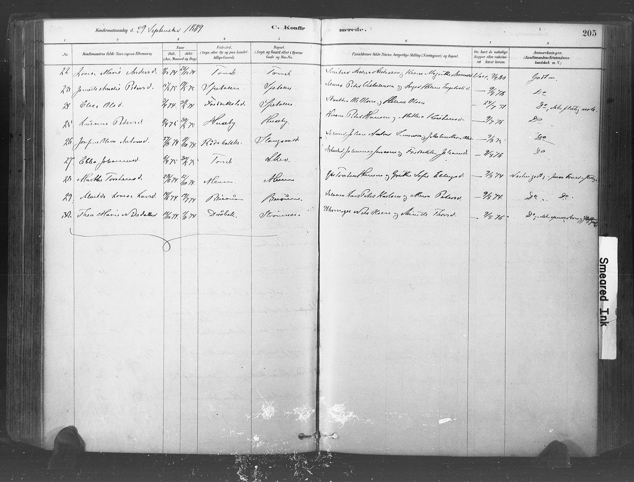 Råde prestekontor kirkebøker, SAO/A-2009/F/Fa/L0007: Parish register (official) no. 7, 1878-1902, p. 205