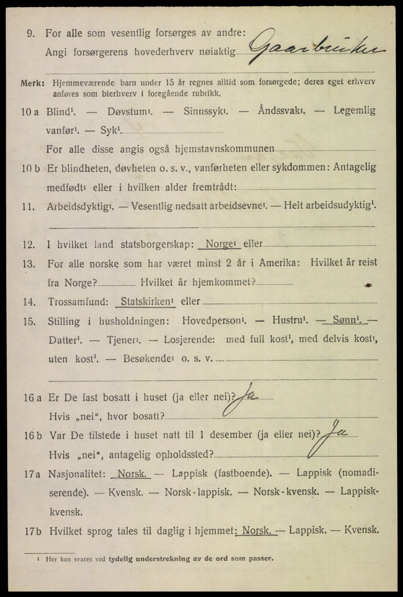 SAT, 1920 census for Vågan, 1920, p. 8104