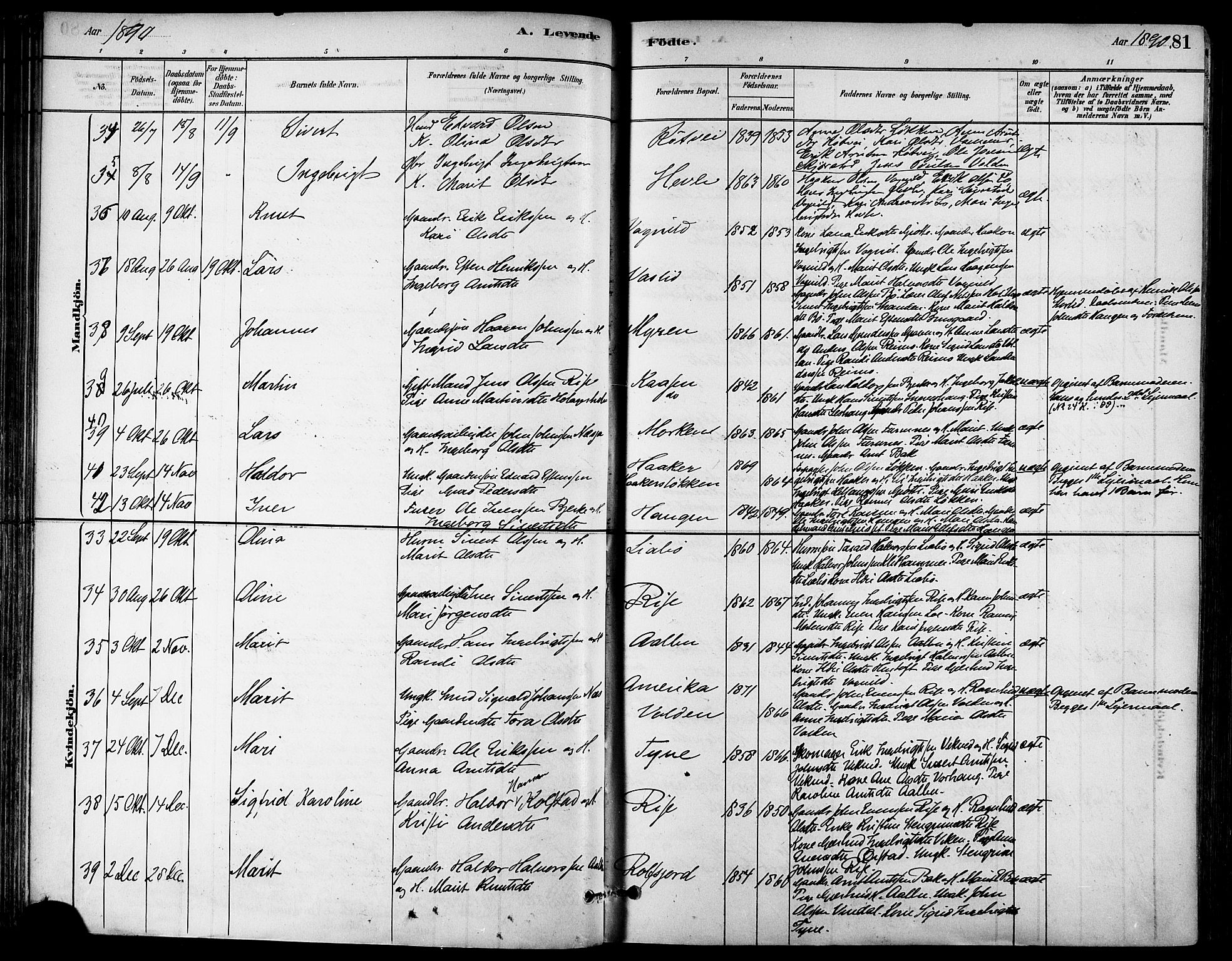 Ministerialprotokoller, klokkerbøker og fødselsregistre - Sør-Trøndelag, SAT/A-1456/678/L0901: Parish register (official) no. 678A10, 1881-1894, p. 81