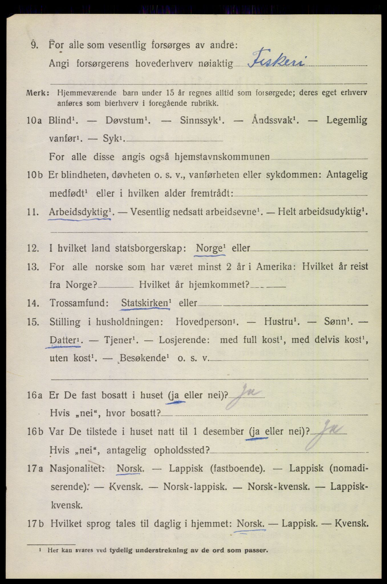 SAT, 1920 census for Bodin, 1920, p. 1917