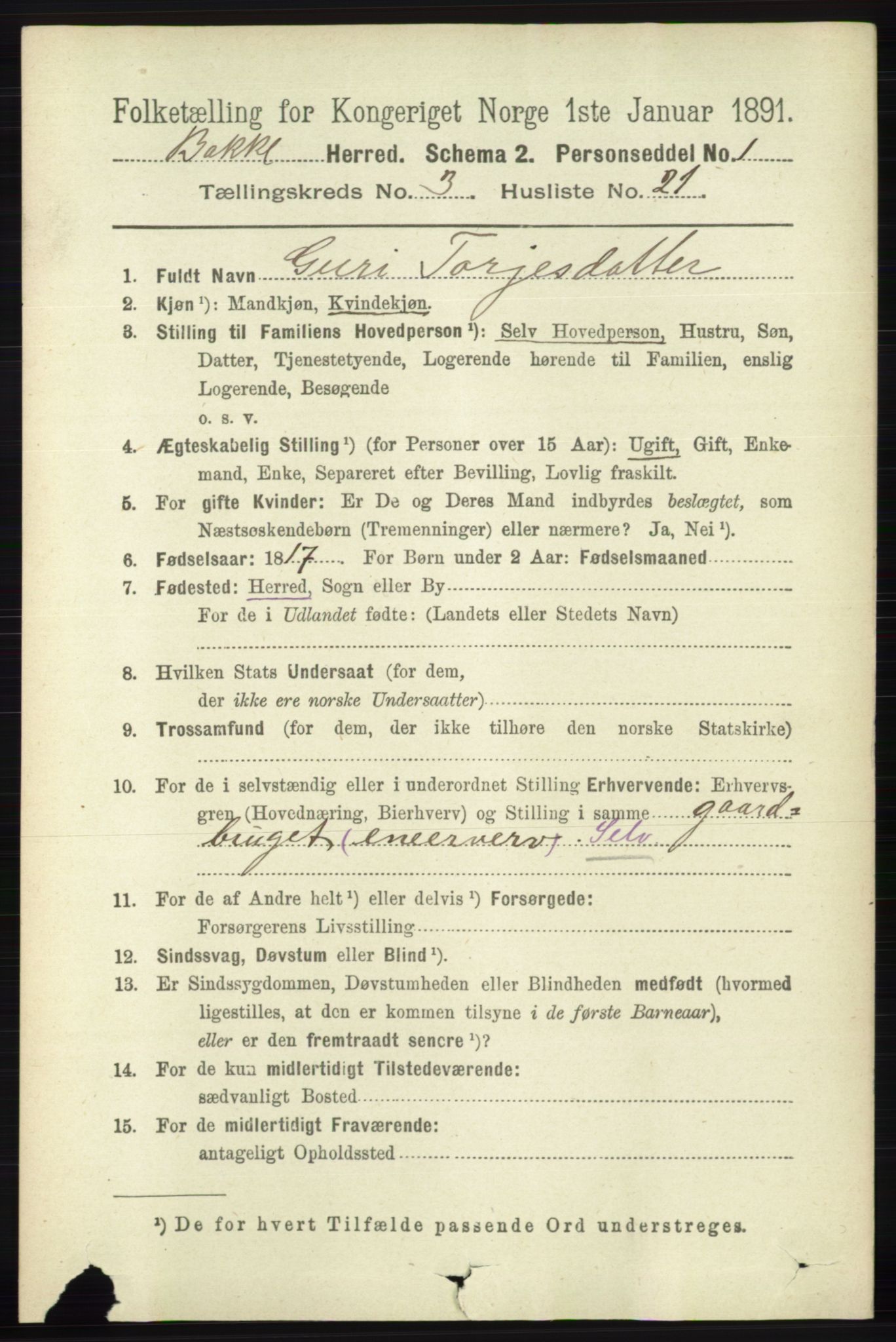 RA, 1891 census for 1045 Bakke, 1891, p. 540