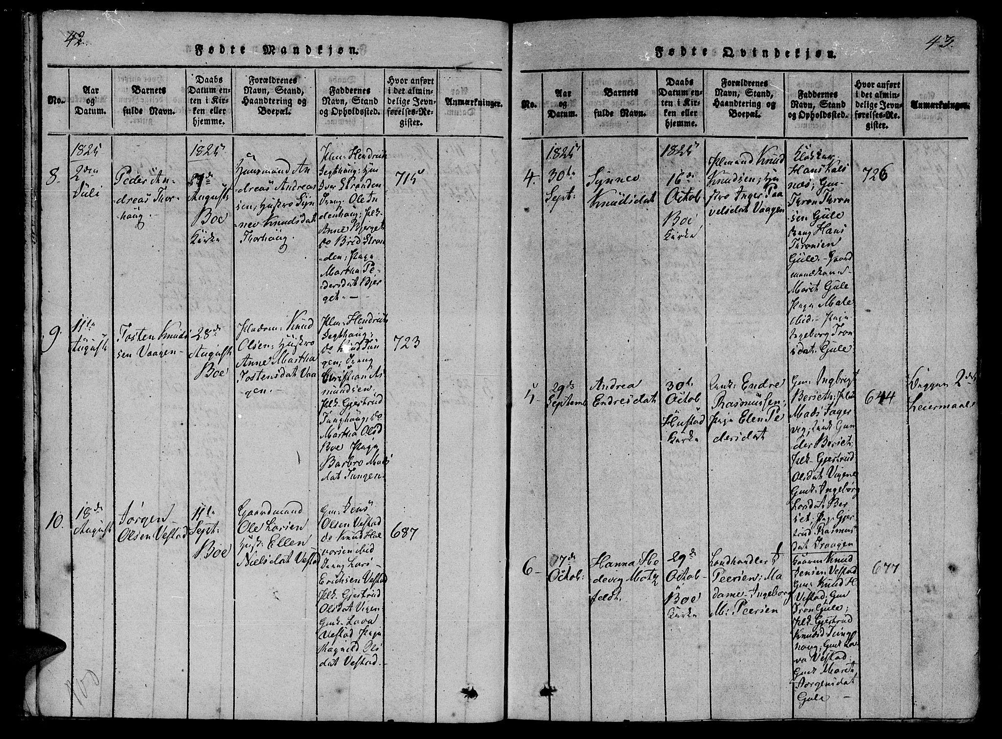 Ministerialprotokoller, klokkerbøker og fødselsregistre - Møre og Romsdal, SAT/A-1454/566/L0763: Parish register (official) no. 566A03 /1, 1817-1829, p. 42-43