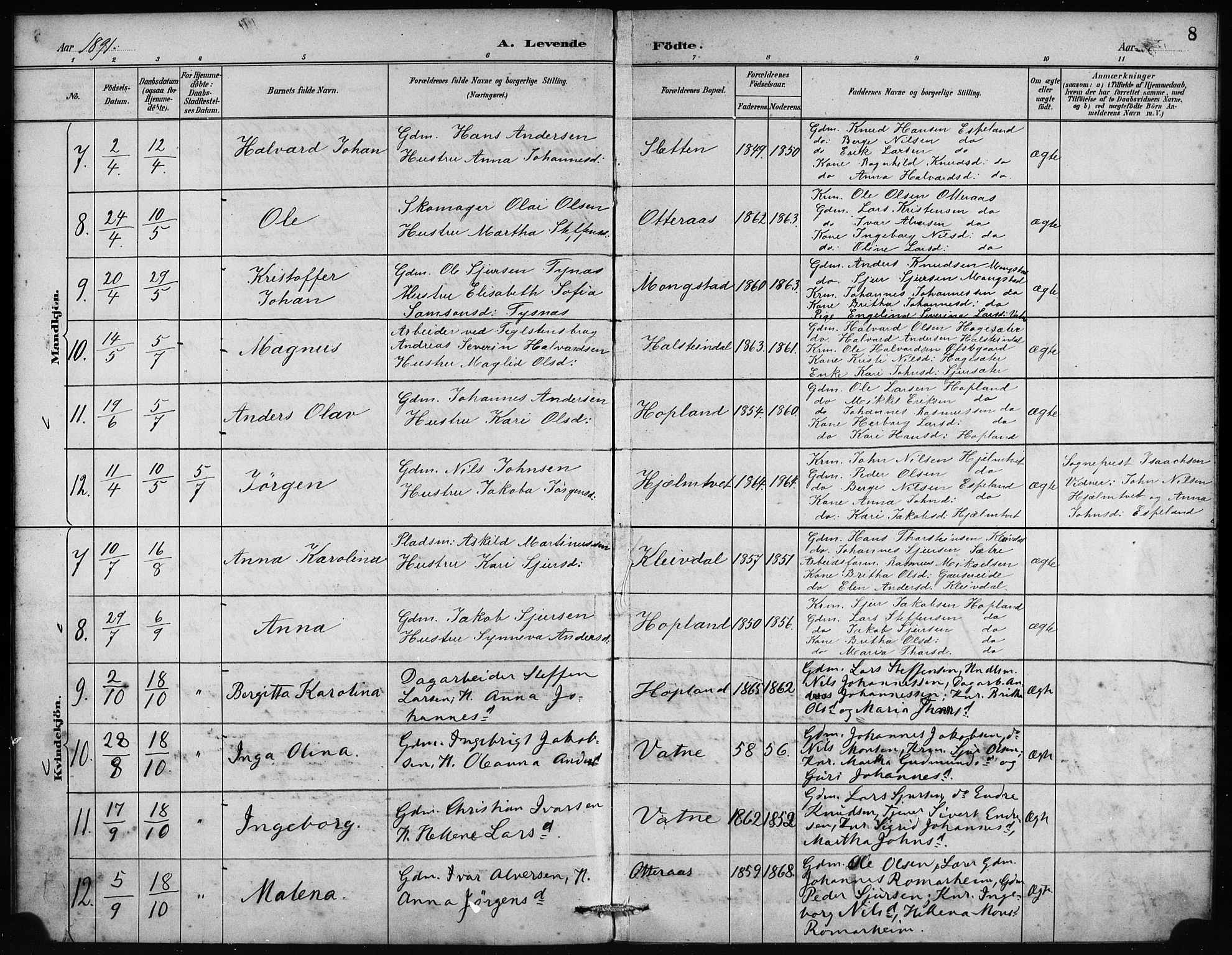Alversund Sokneprestembete, AV/SAB-A-73901/H/Ha/Haa/Haad/L0002: Parish register (official) no. D 2, 1890-1897, p. 8