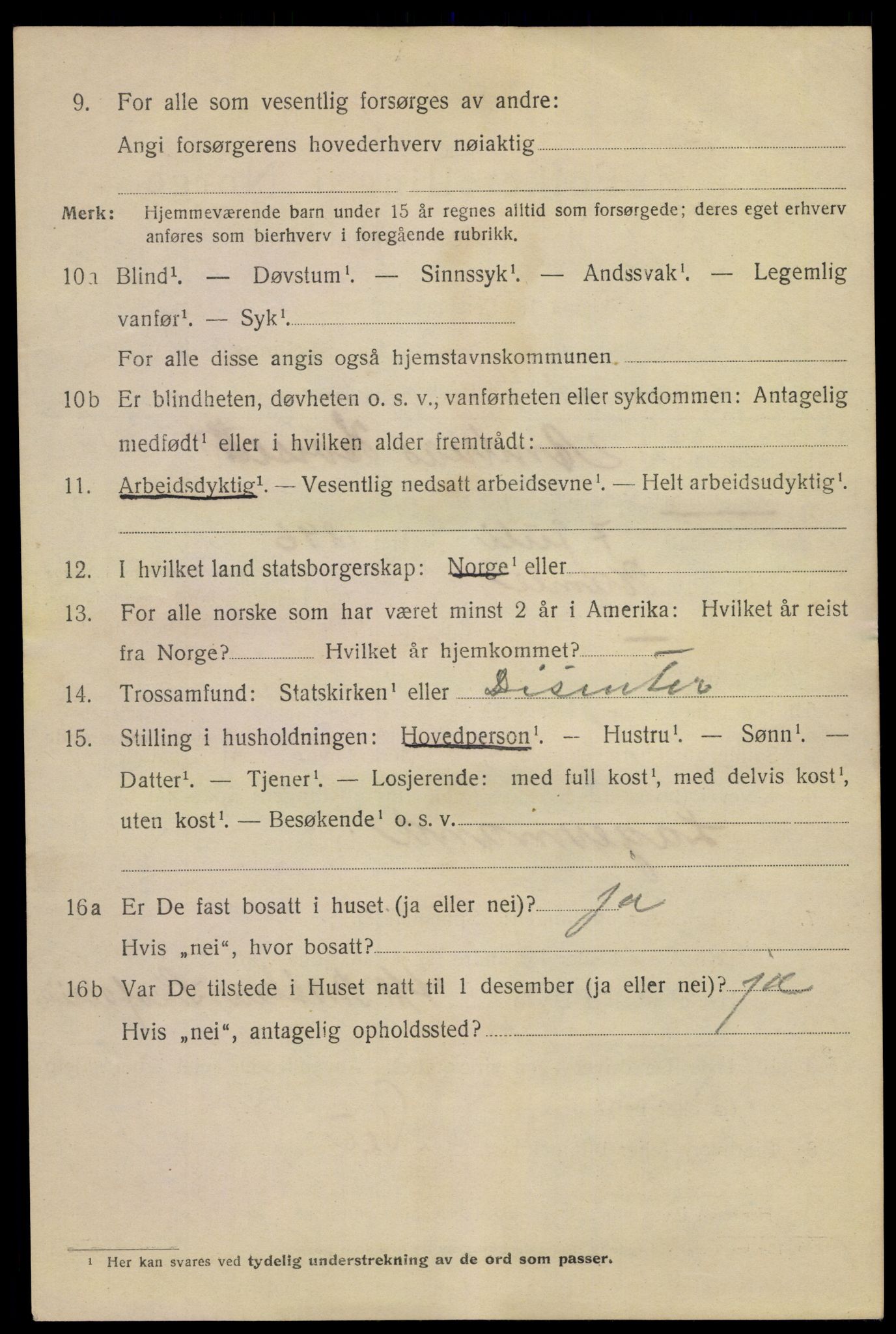 SAKO, 1920 census for Skien, 1920, p. 16815