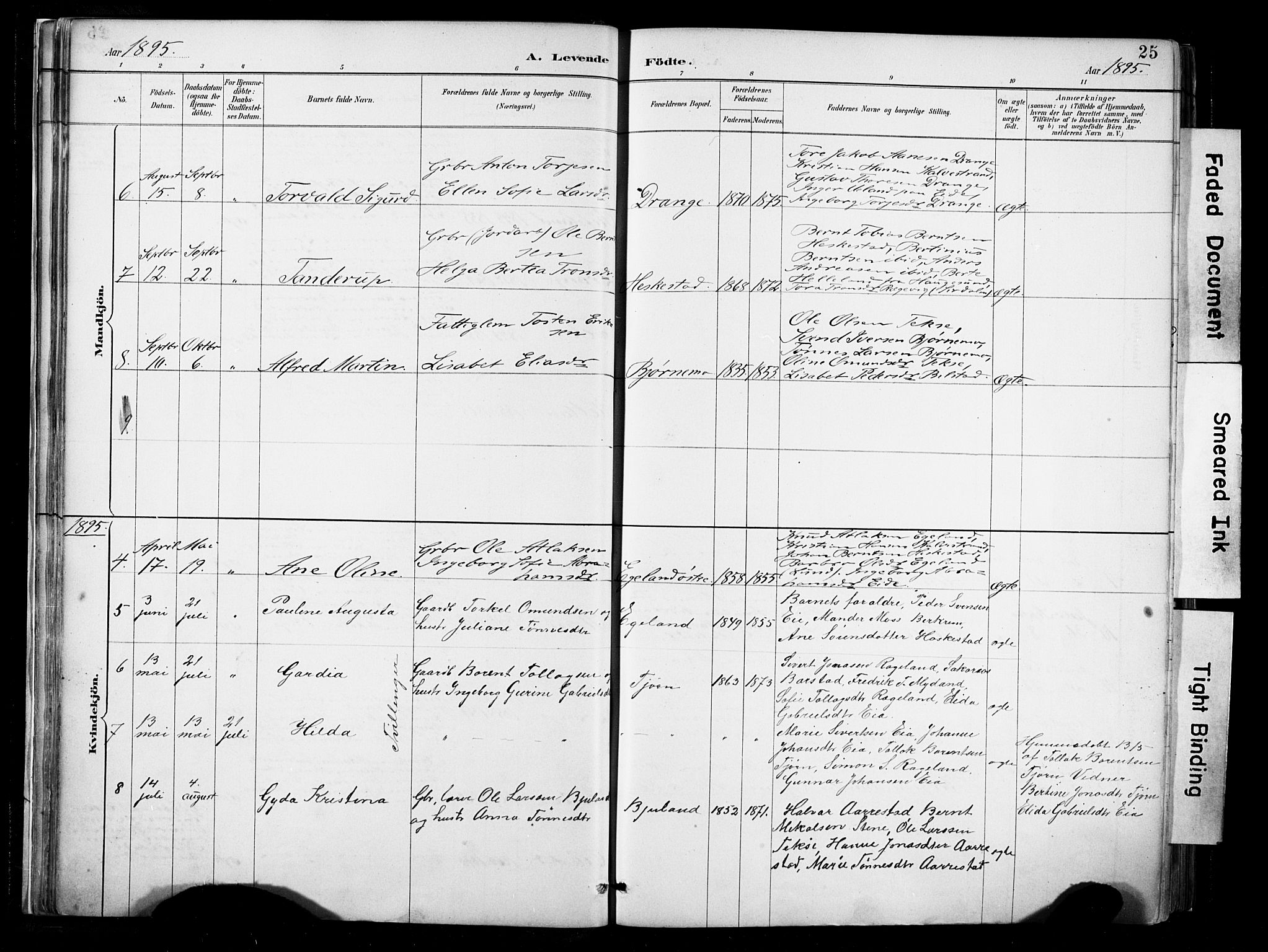 Lund sokneprestkontor, AV/SAST-A-101809/S06/L0012: Parish register (official) no. A 11, 1887-1921, p. 25