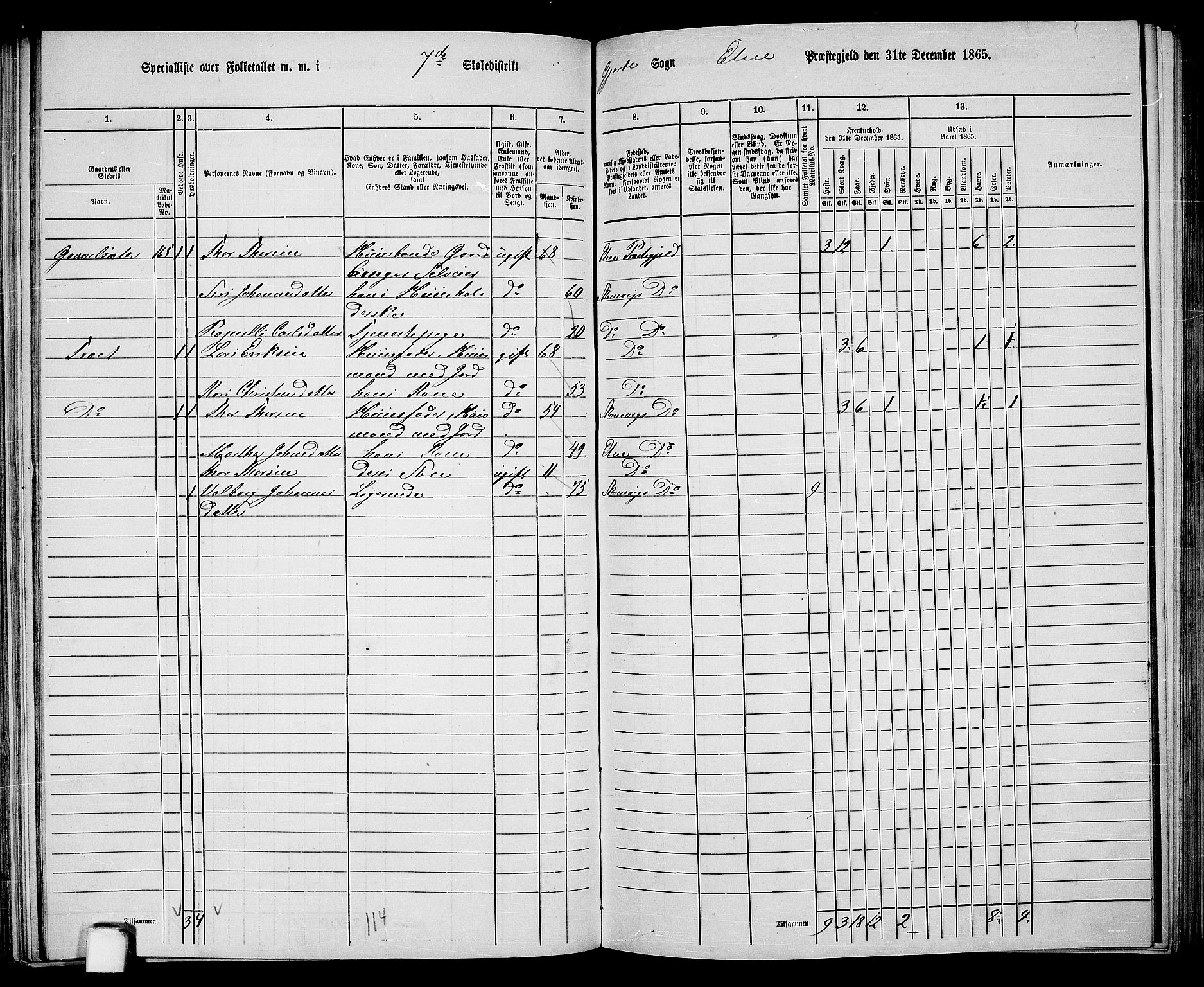 RA, 1865 census for Etne, 1865, p. 120