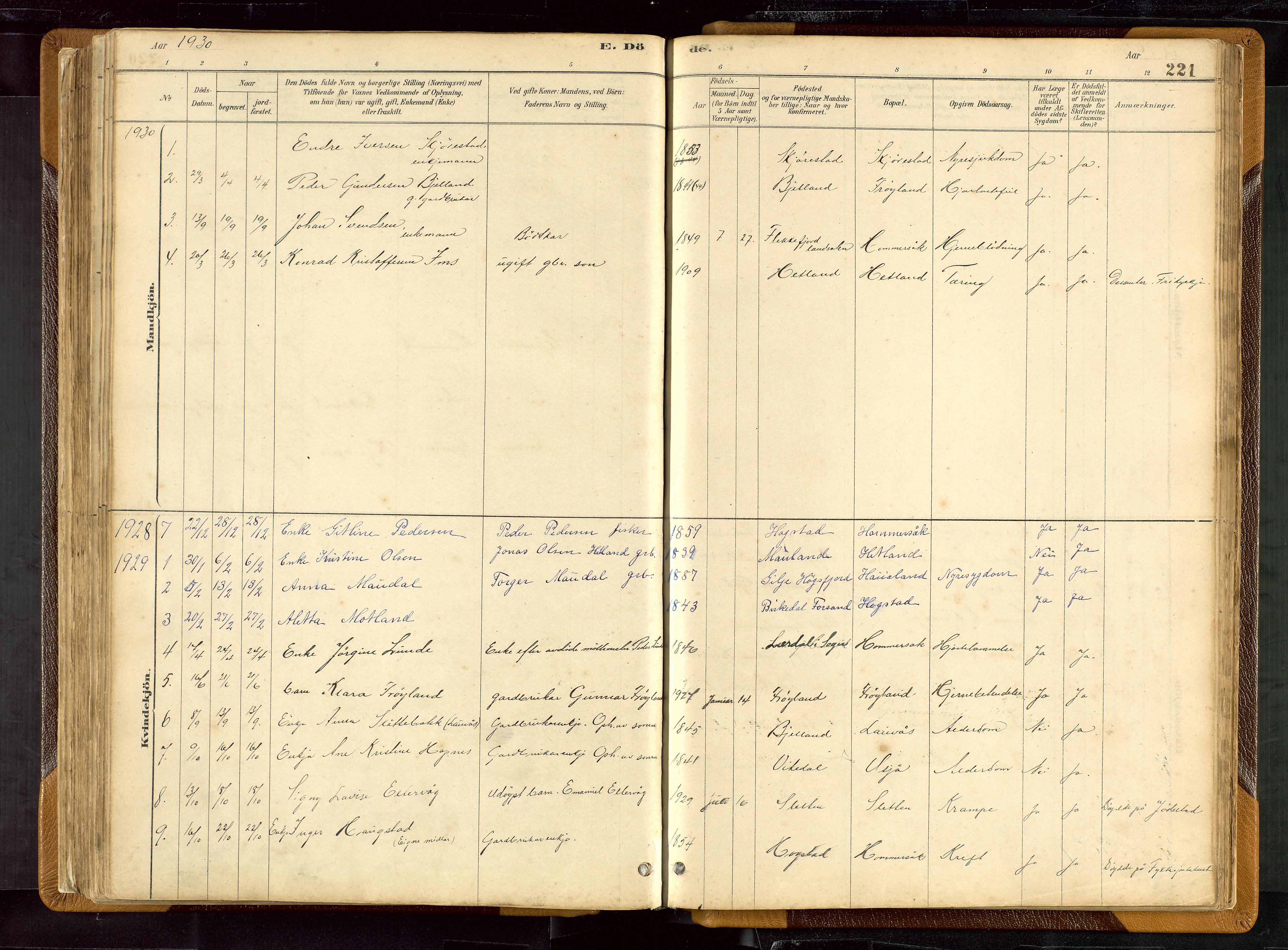 Hetland sokneprestkontor, SAST/A-101826/30/30BB/L0007: Parish register (copy) no. B 7, 1878-1910, p. 221