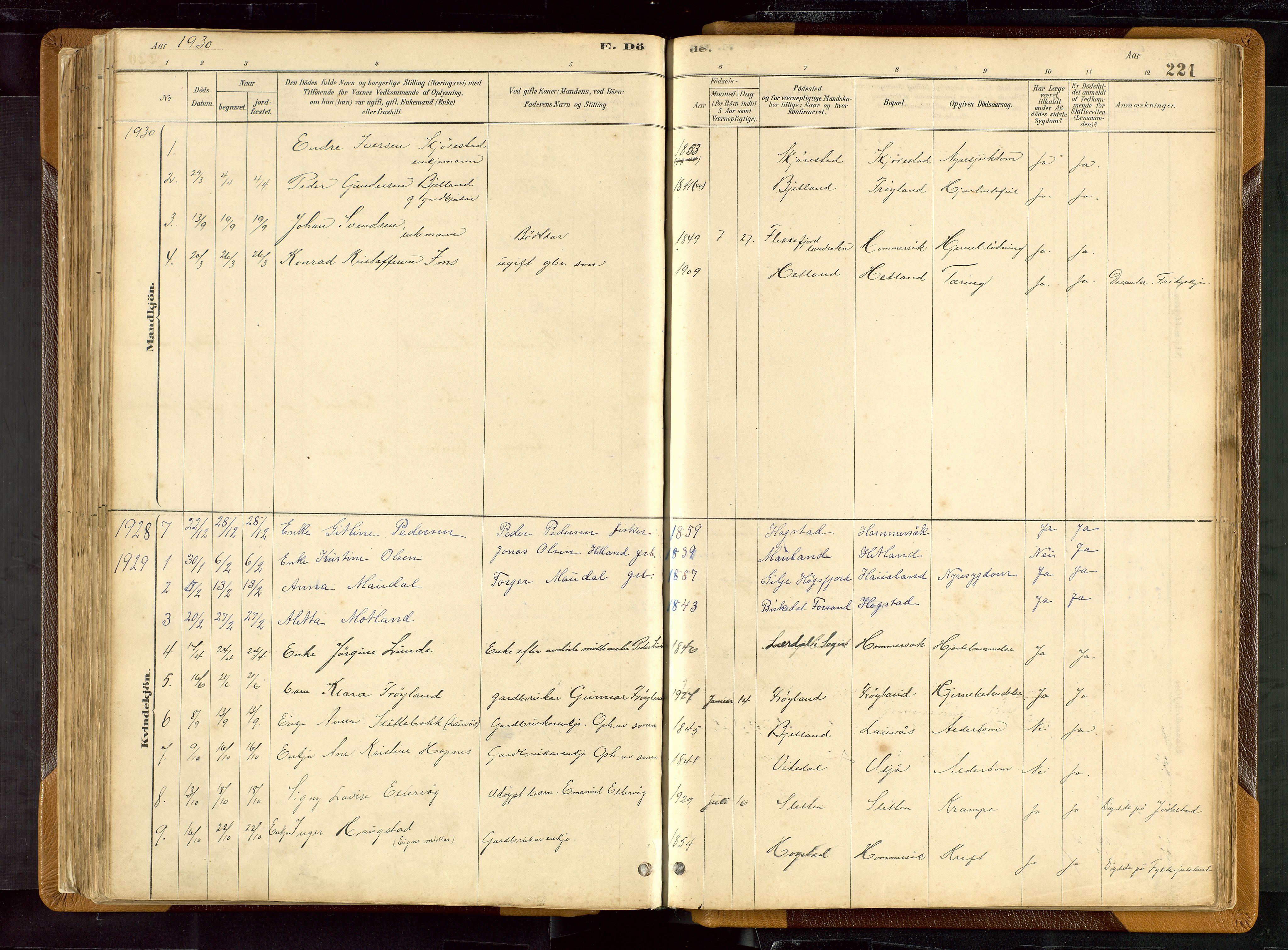 Hetland sokneprestkontor, AV/SAST-A-101826/30/30BB/L0007: Parish register (copy) no. B 7, 1878-1910, p. 221