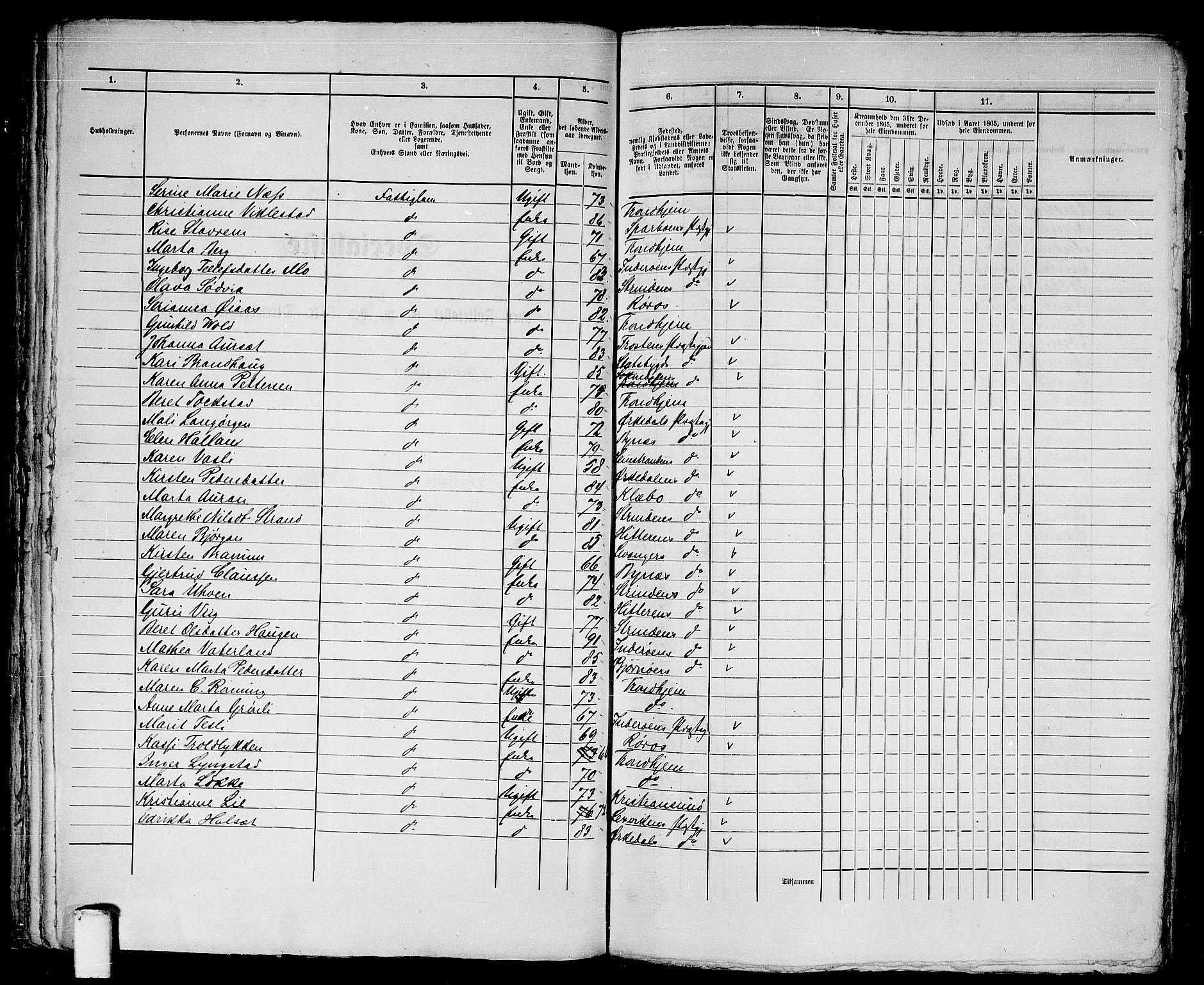 RA, 1865 census for Trondheim, 1865, p. 1619
