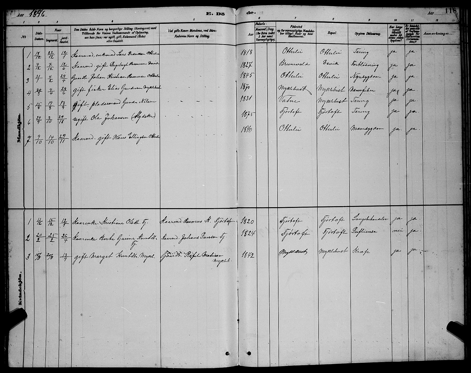 Ministerialprotokoller, klokkerbøker og fødselsregistre - Møre og Romsdal, SAT/A-1454/538/L0523: Parish register (copy) no. 538C01, 1881-1900, p. 118