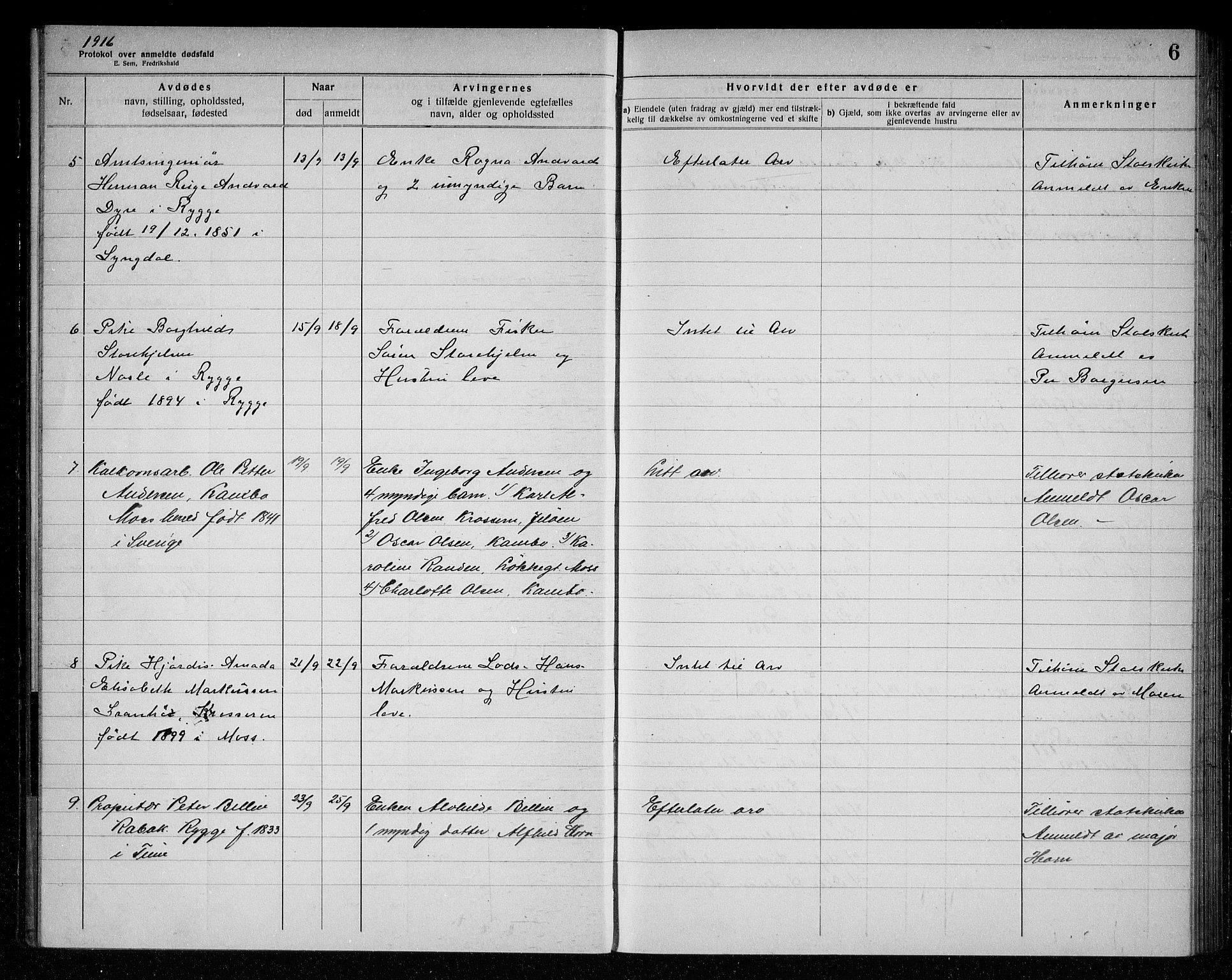 Rygge lensmannskontor, AV/SAO-A-10005/H/Ha/Haa/L0006: Dødsfallsprotokoll, 1916-1920, p. 6