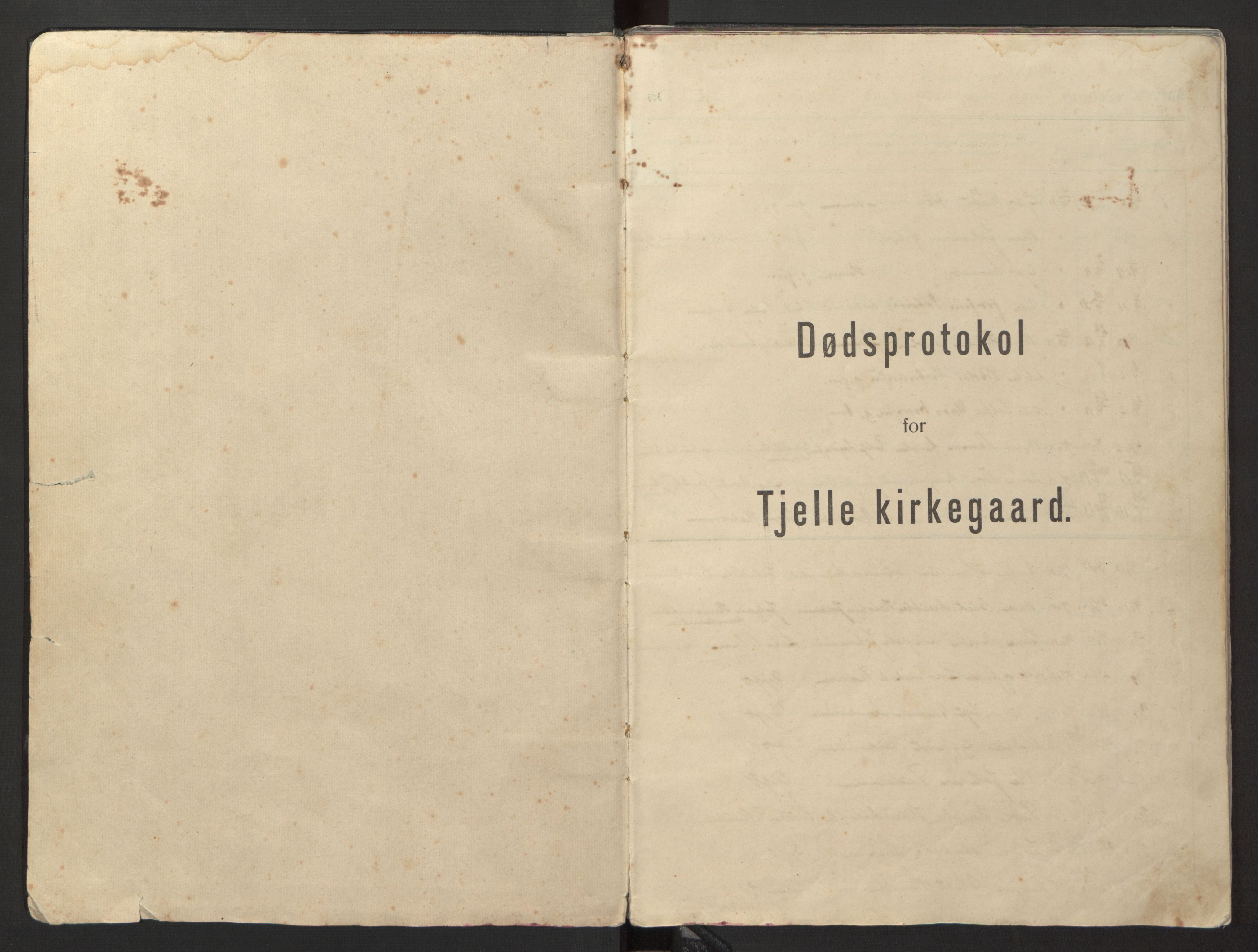 Ministerialprotokoller, klokkerbøker og fødselsregistre - Nordland, AV/SAT-A-1459/869/L0981: Parish register (copy) no. 869C07, 1911-1938