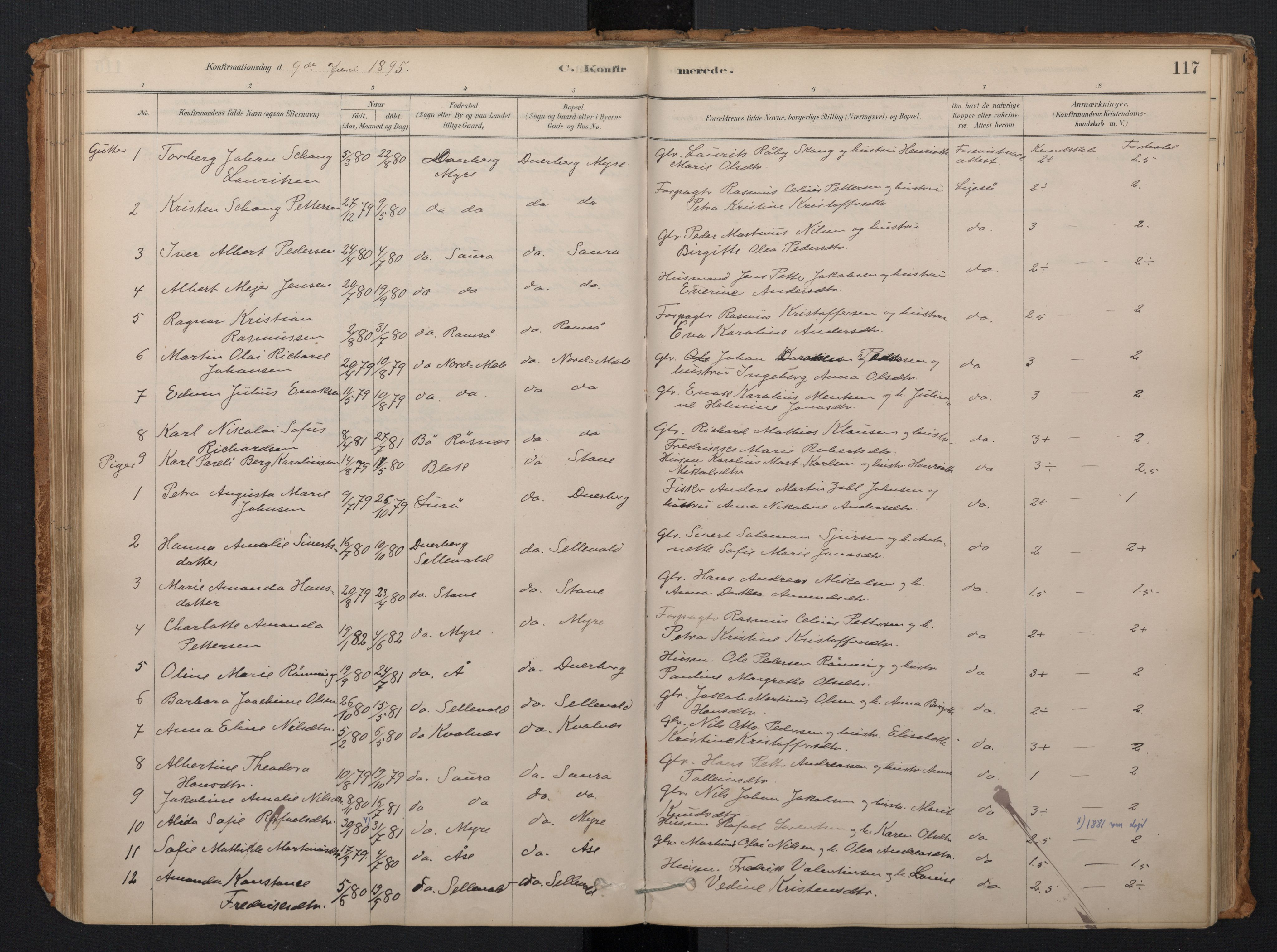 Ministerialprotokoller, klokkerbøker og fødselsregistre - Nordland, AV/SAT-A-1459/897/L1399: Parish register (official) no. 897A06, 1881-1896, p. 117