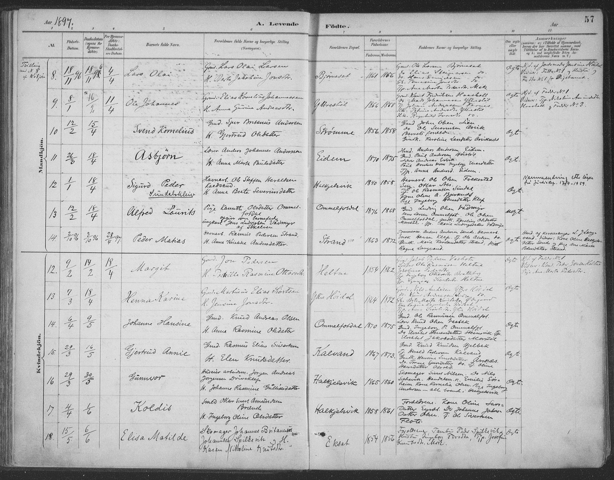 Ministerialprotokoller, klokkerbøker og fødselsregistre - Møre og Romsdal, AV/SAT-A-1454/511/L0142: Parish register (official) no. 511A09, 1891-1905, p. 57