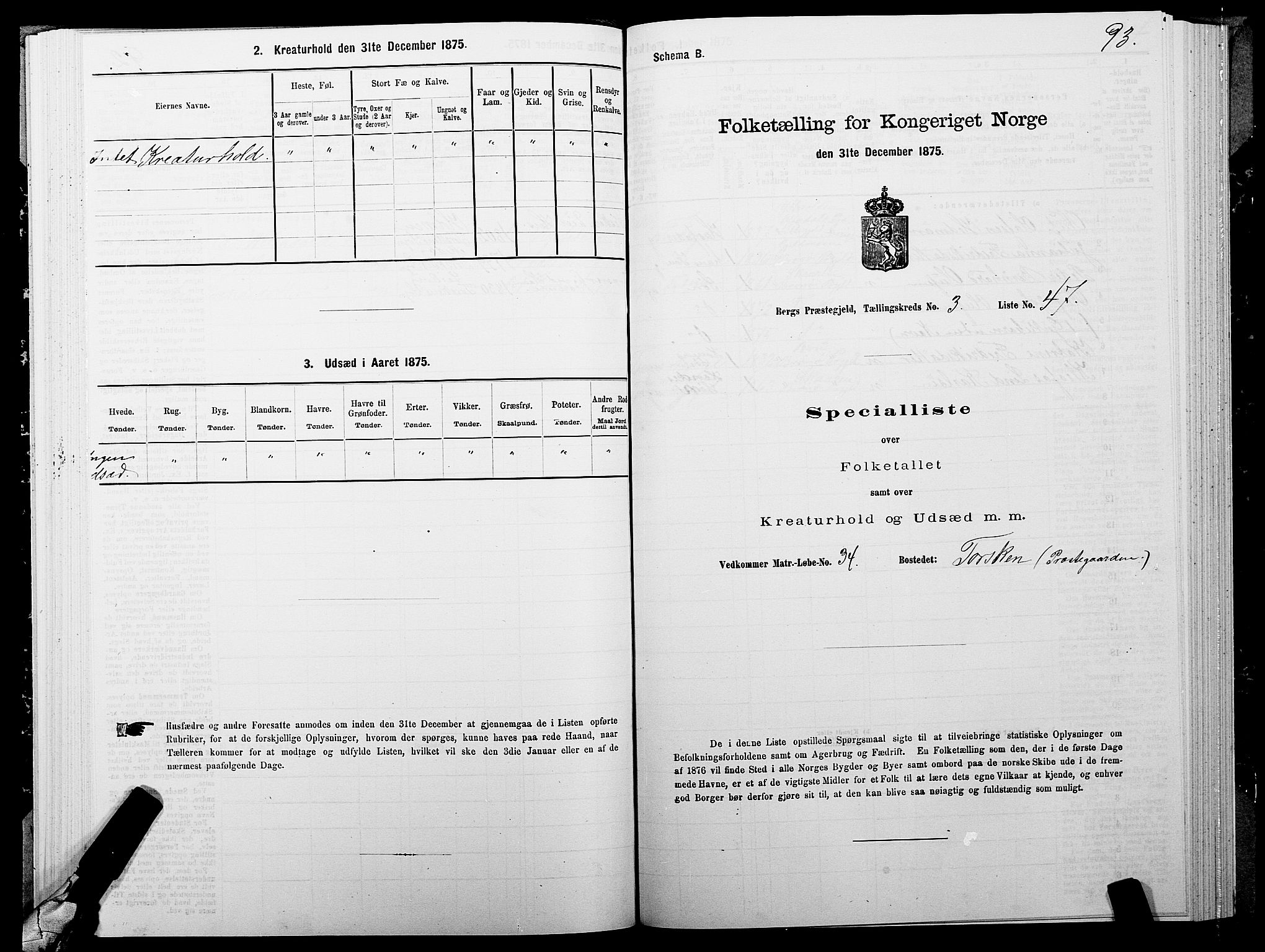 SATØ, 1875 census for 1929P Berg, 1875, p. 2093