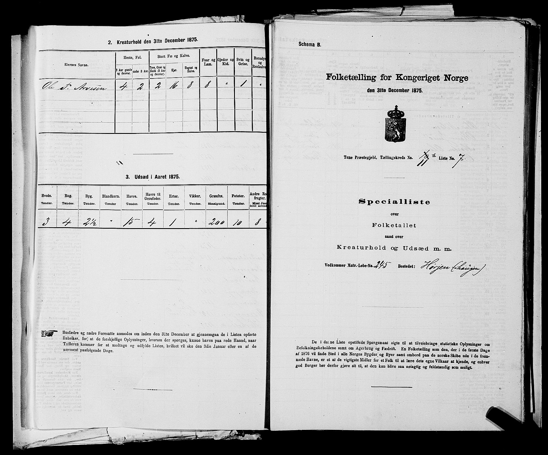 RA, 1875 census for 0130P Tune, 1875, p. 1699