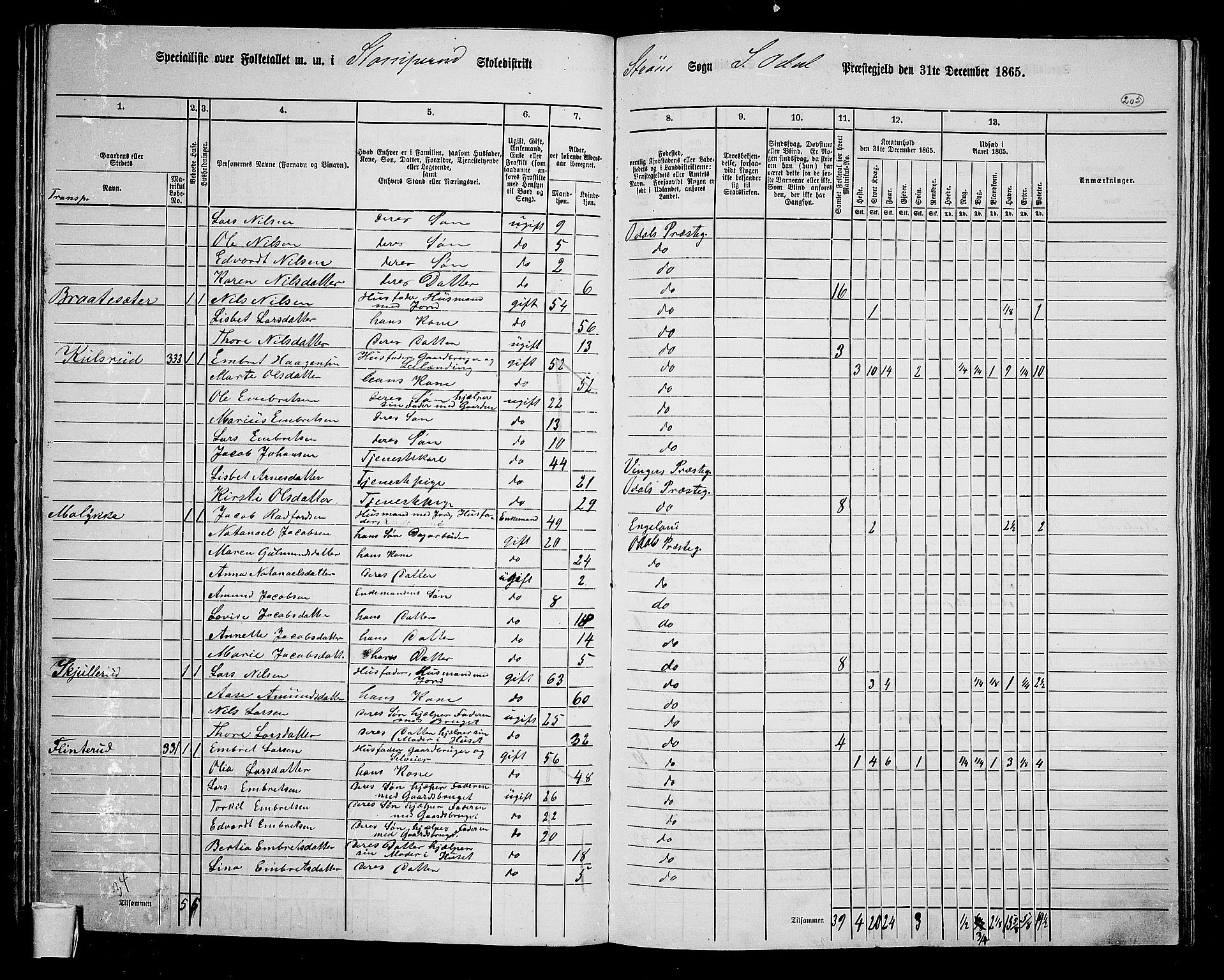 RA, 1865 census for Sør-Odal, 1865, p. 180