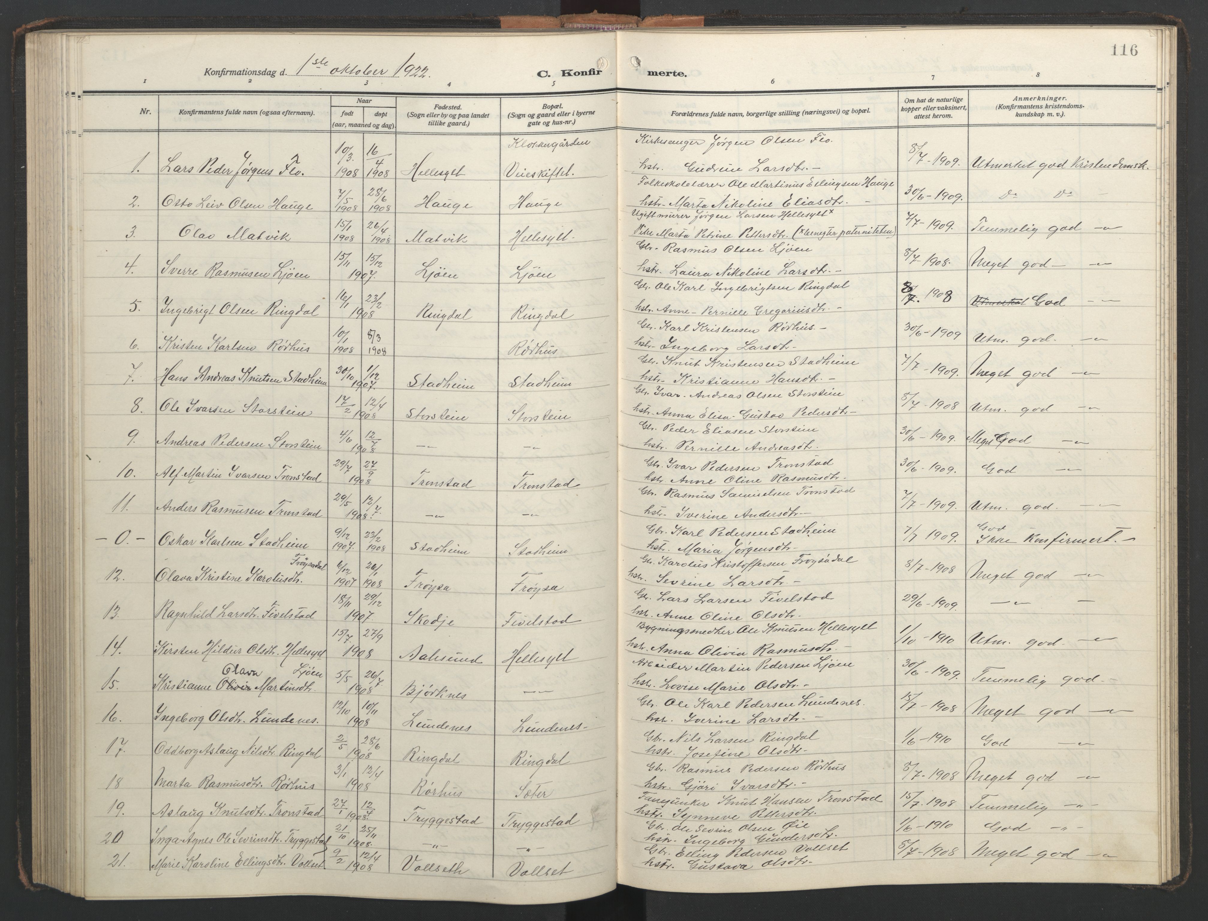Ministerialprotokoller, klokkerbøker og fødselsregistre - Møre og Romsdal, AV/SAT-A-1454/517/L0232: Parish register (copy) no. 517C05, 1910-1946, p. 116