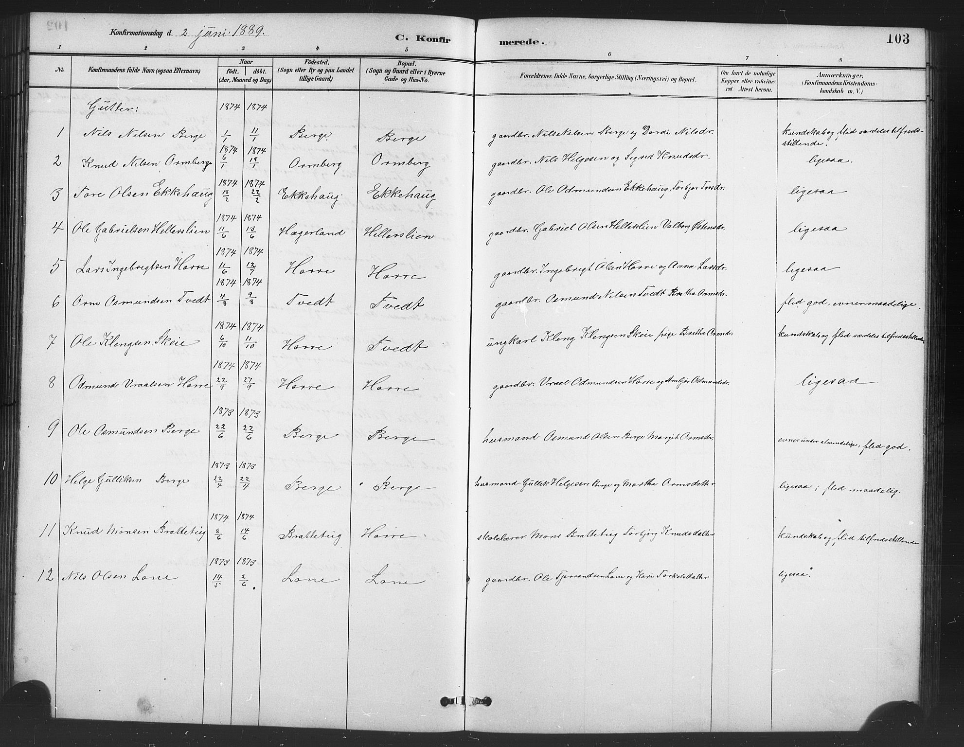 Røldal sokneprestembete, AV/SAB-A-100247: Parish register (copy) no. A 3, 1887-1917, p. 103
