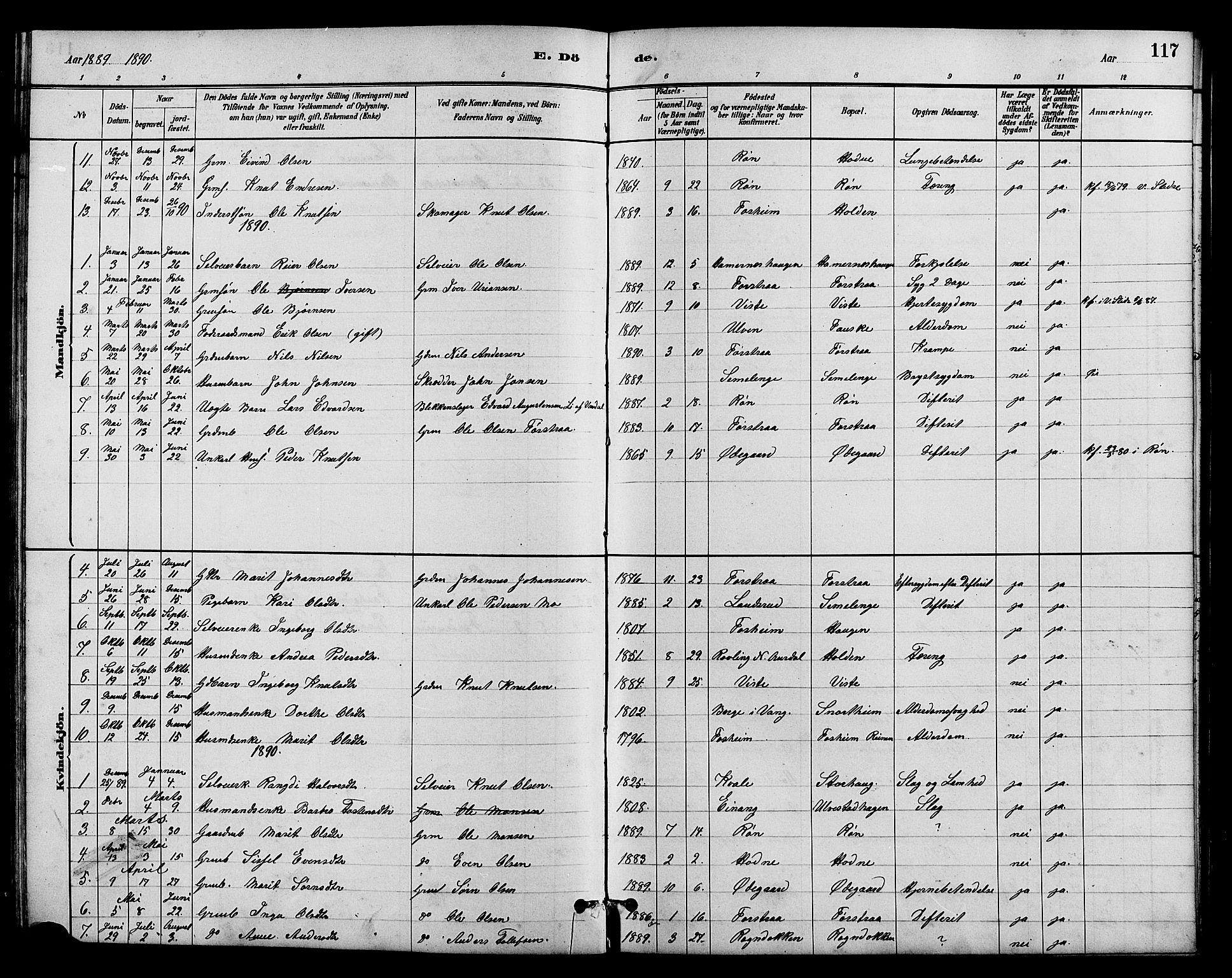 Vestre Slidre prestekontor, SAH/PREST-136/H/Ha/Hab/L0005: Parish register (copy) no. 5, 1881-1913, p. 117
